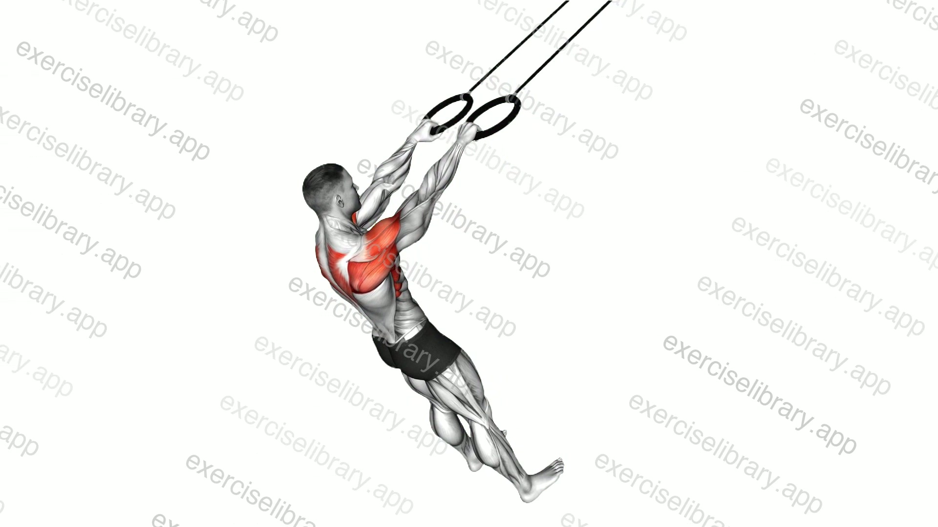Ring Y Raise demonstration