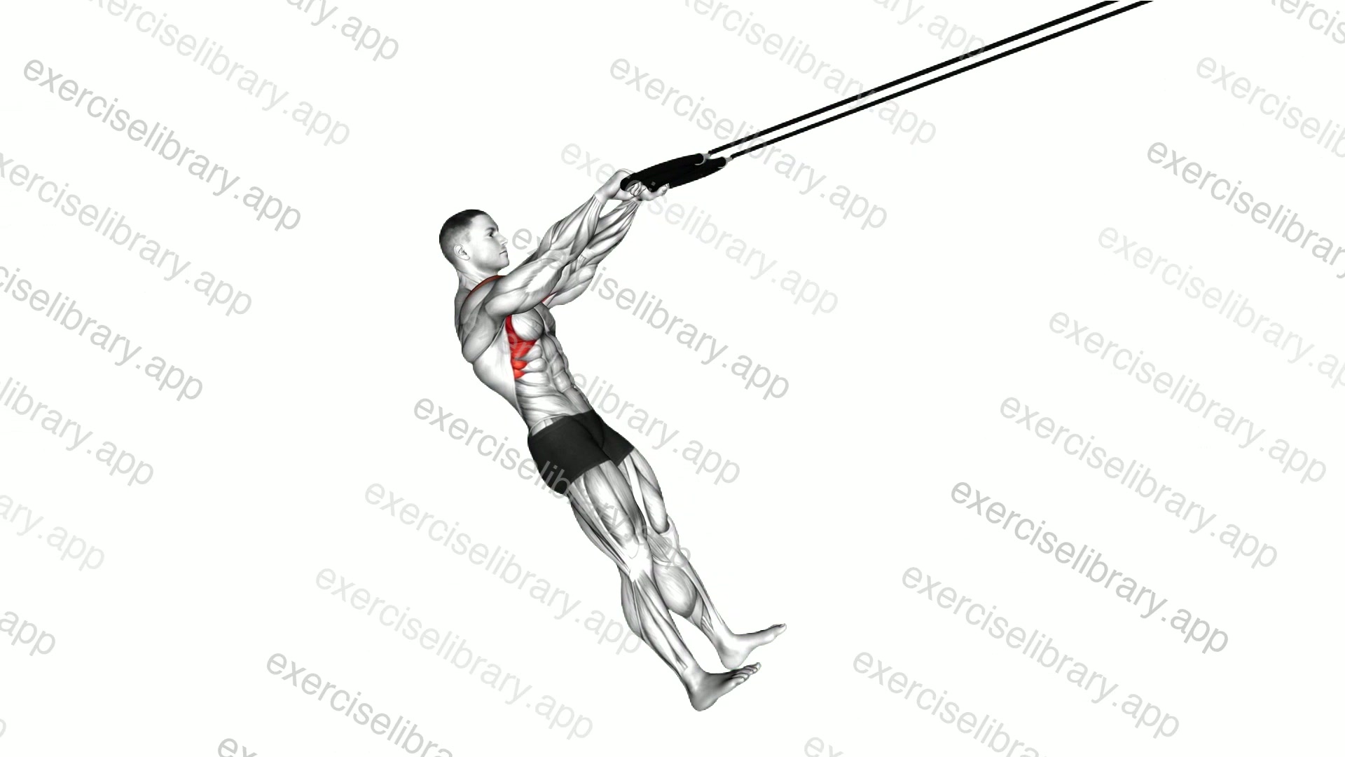Ring Front Raise demonstration