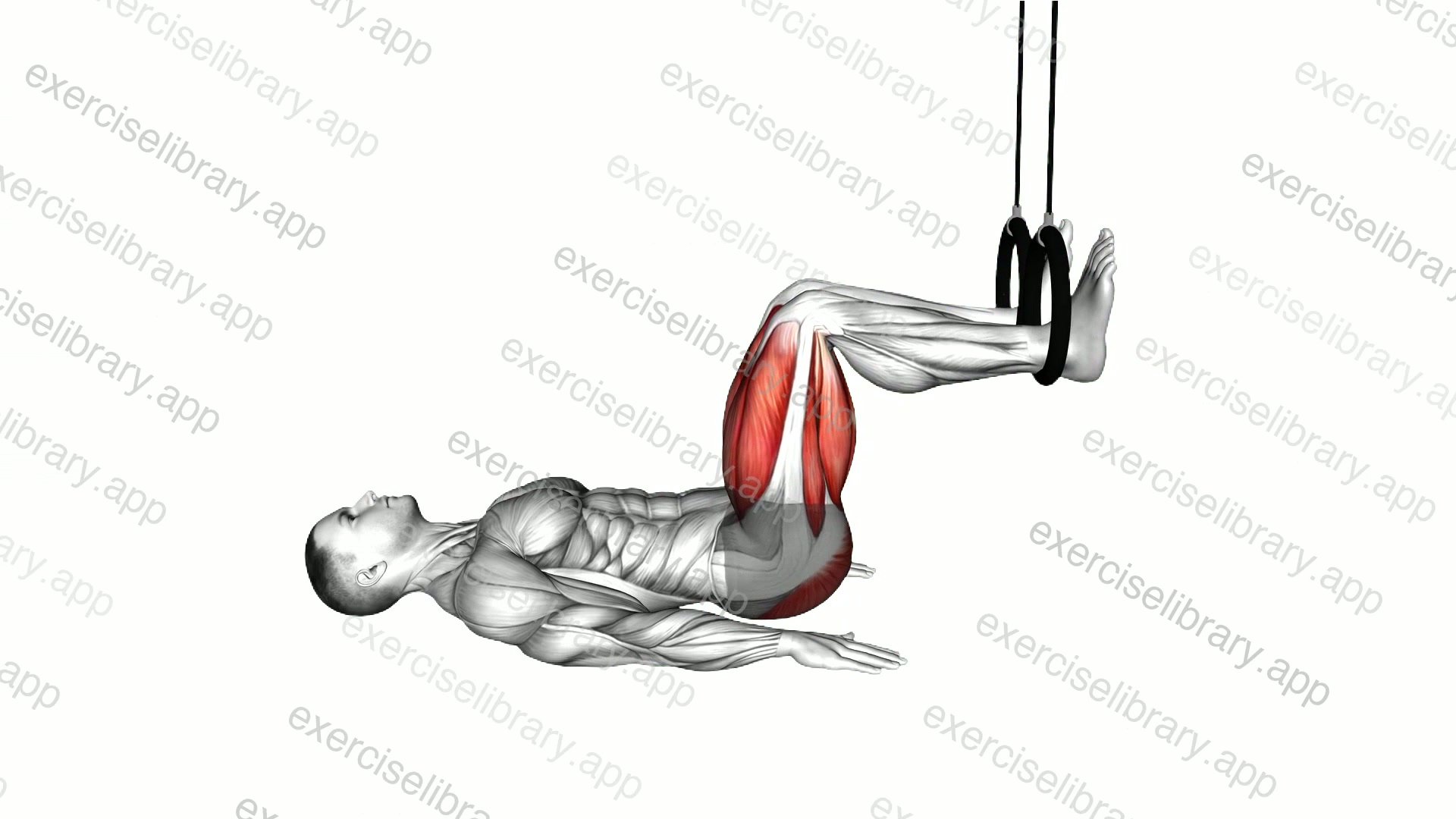 Ring Hip Bridge demonstration