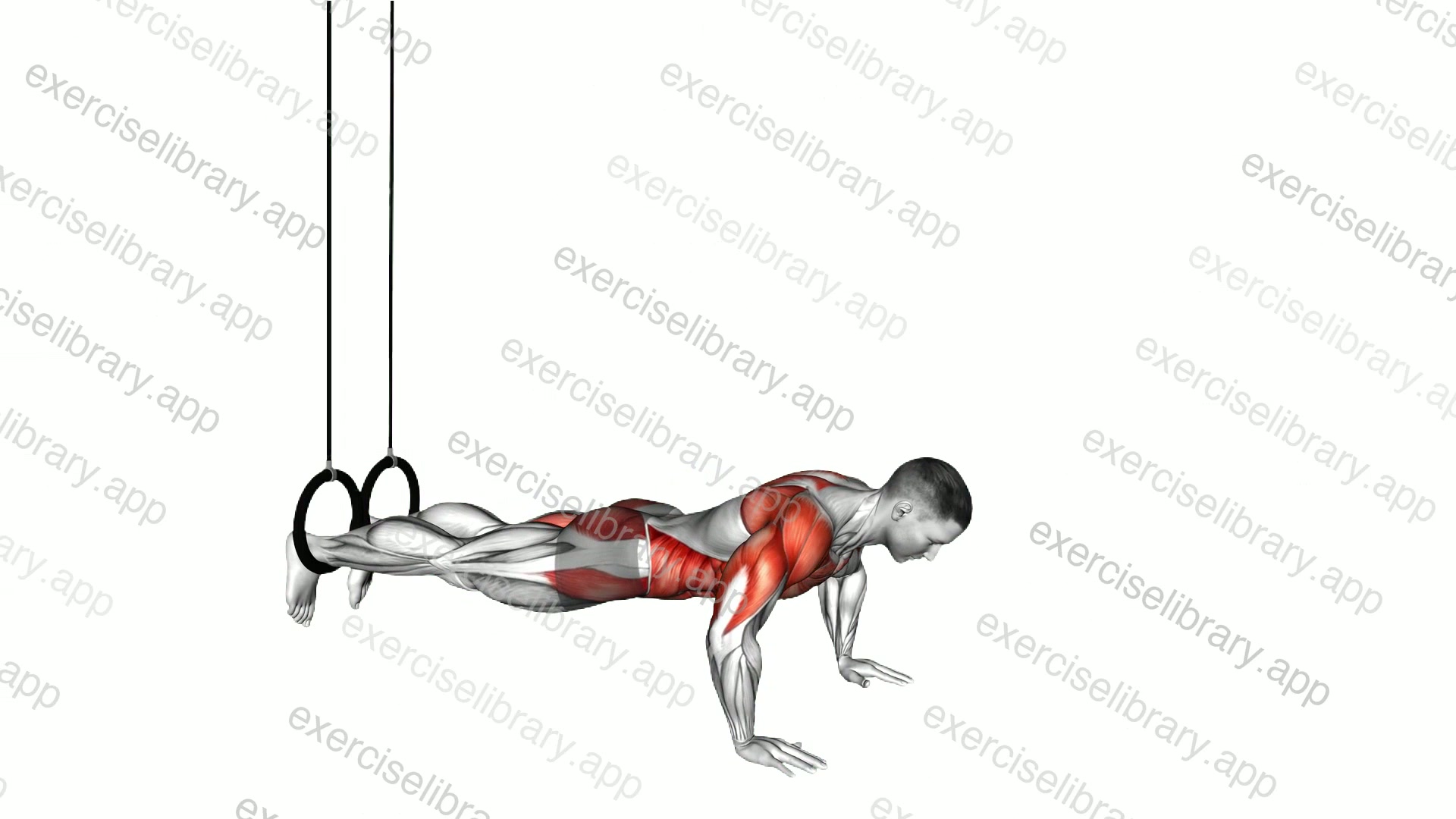 Ring Push-up to Side Plank demonstration