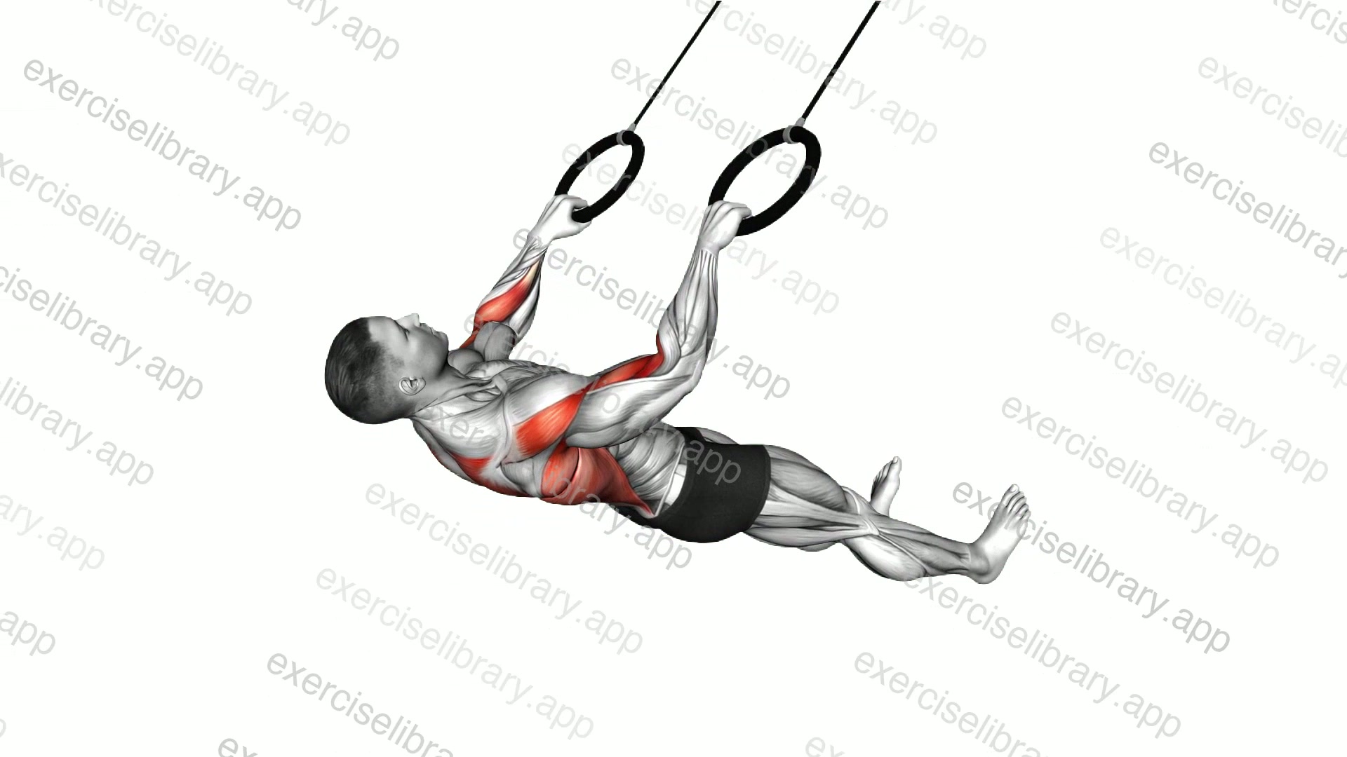Ring Wide Grip Inverted Row on floor demonstration
