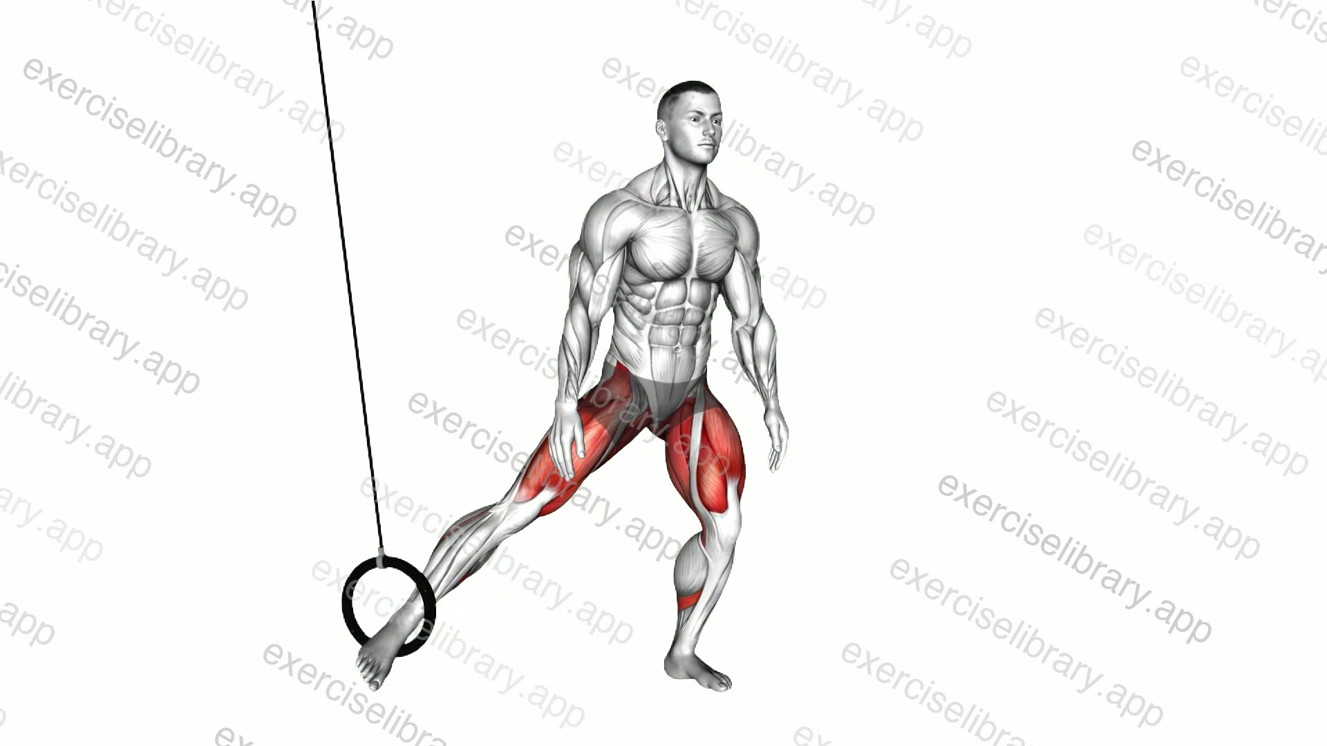 Ring Side Squat demonstration