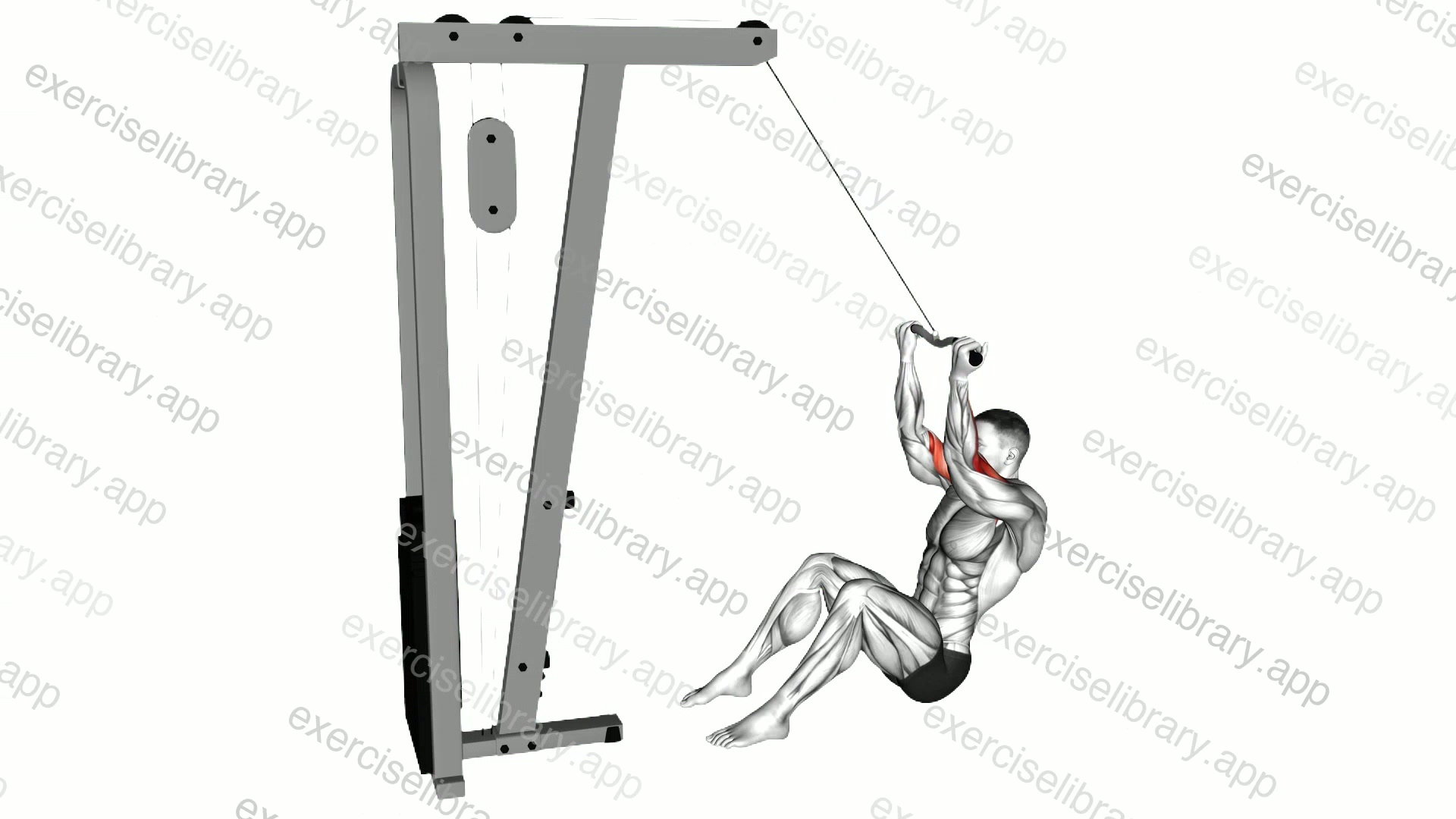 Cable Seated Overhead Curl demonstration