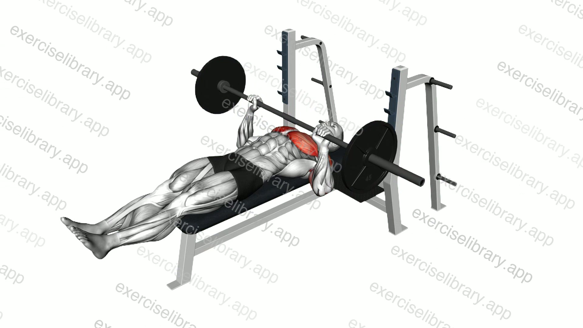 Barbell Larsen Press demonstration