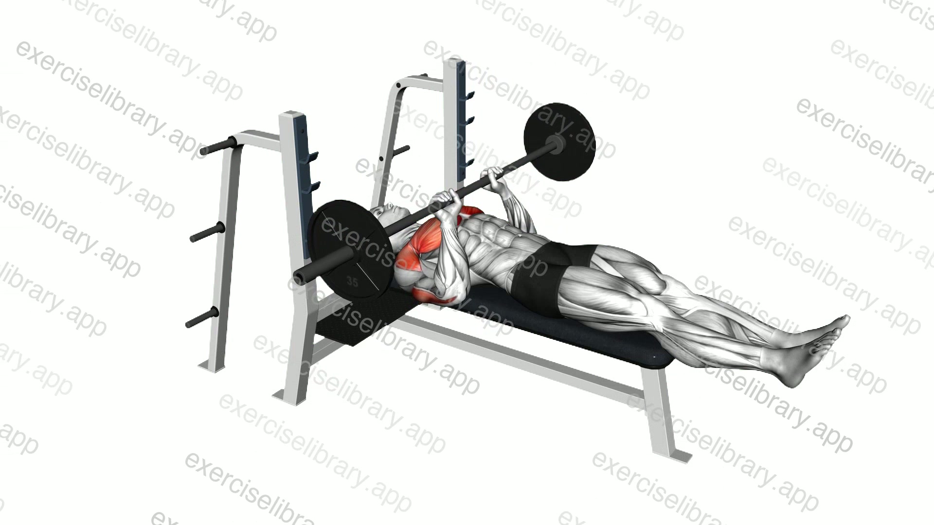 Barbell Close Grip Larsen Press demonstration