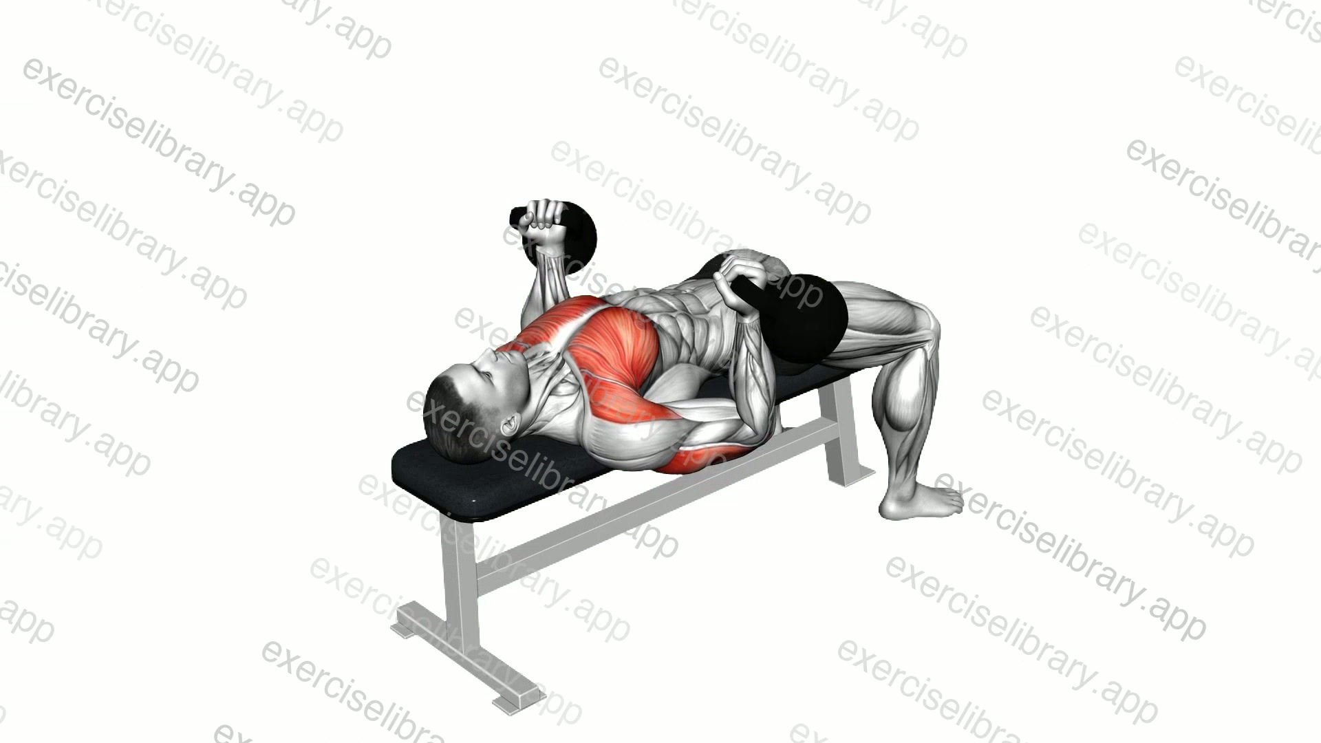 Kettlebell Reverse Bench Press demonstration