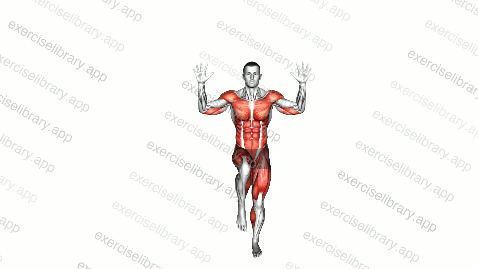 Front and Side Knee Drive demonstration