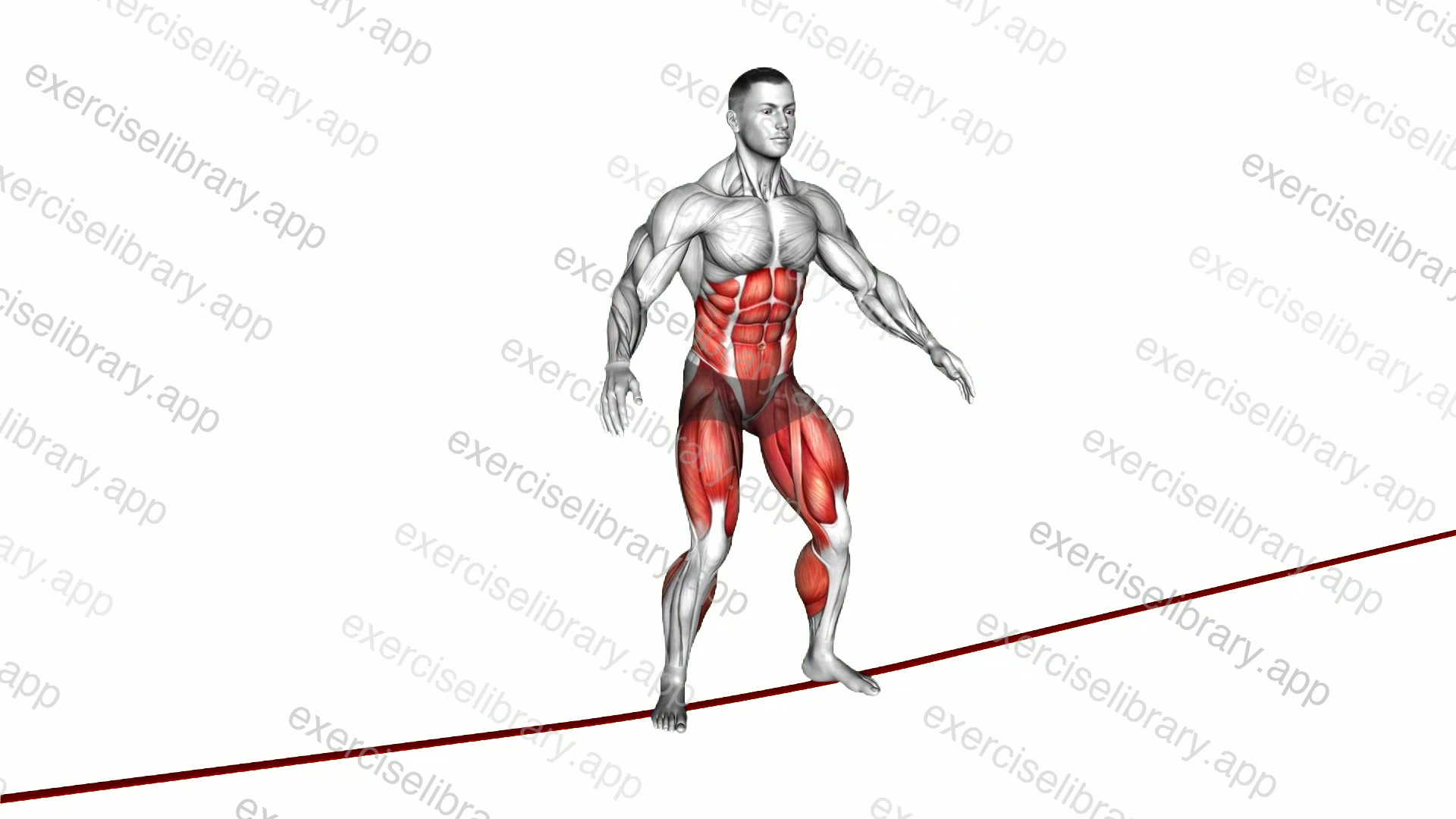 Bodyweight Squat on Slackline demonstration