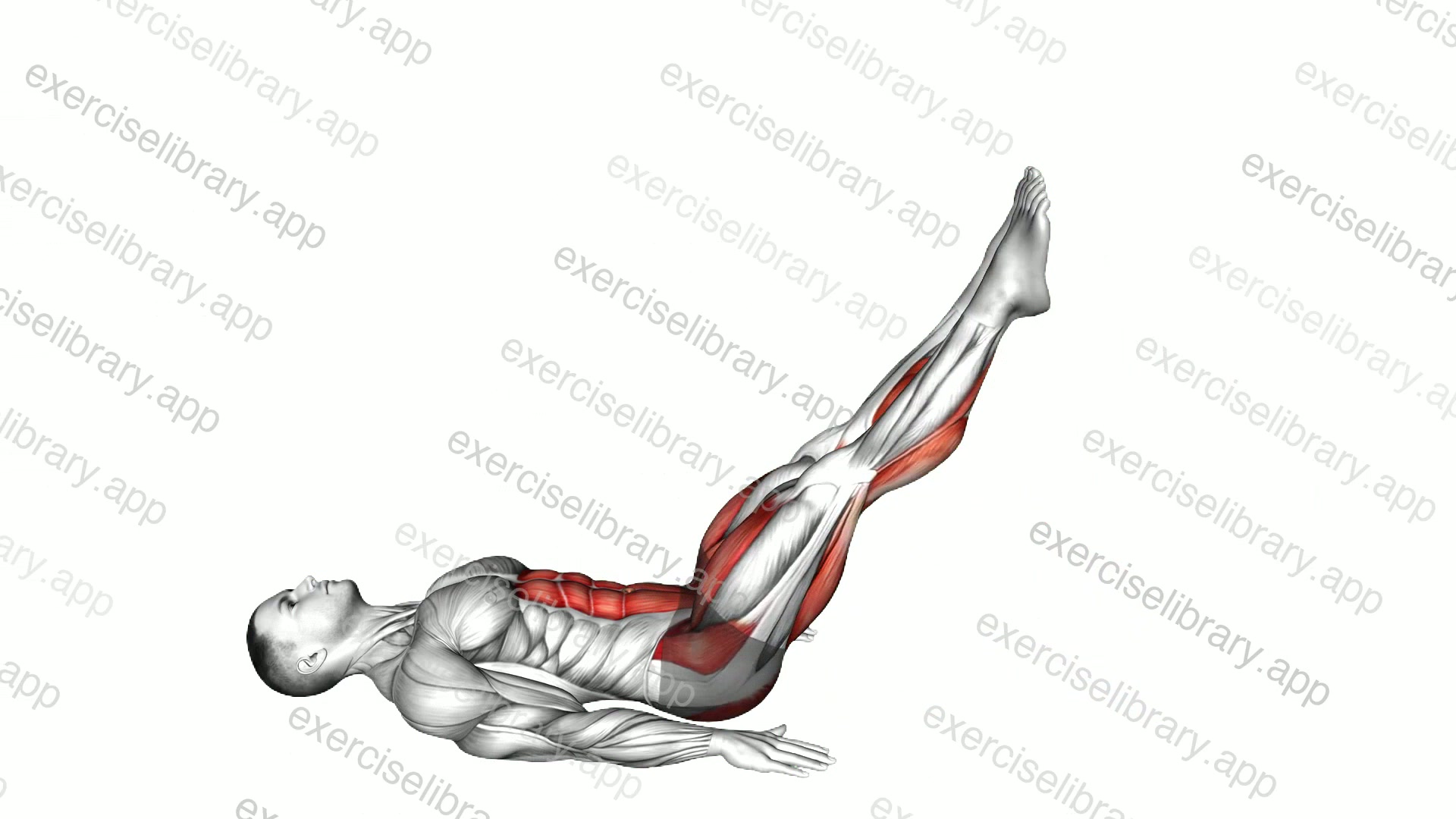 Lying Leg Lift demonstration