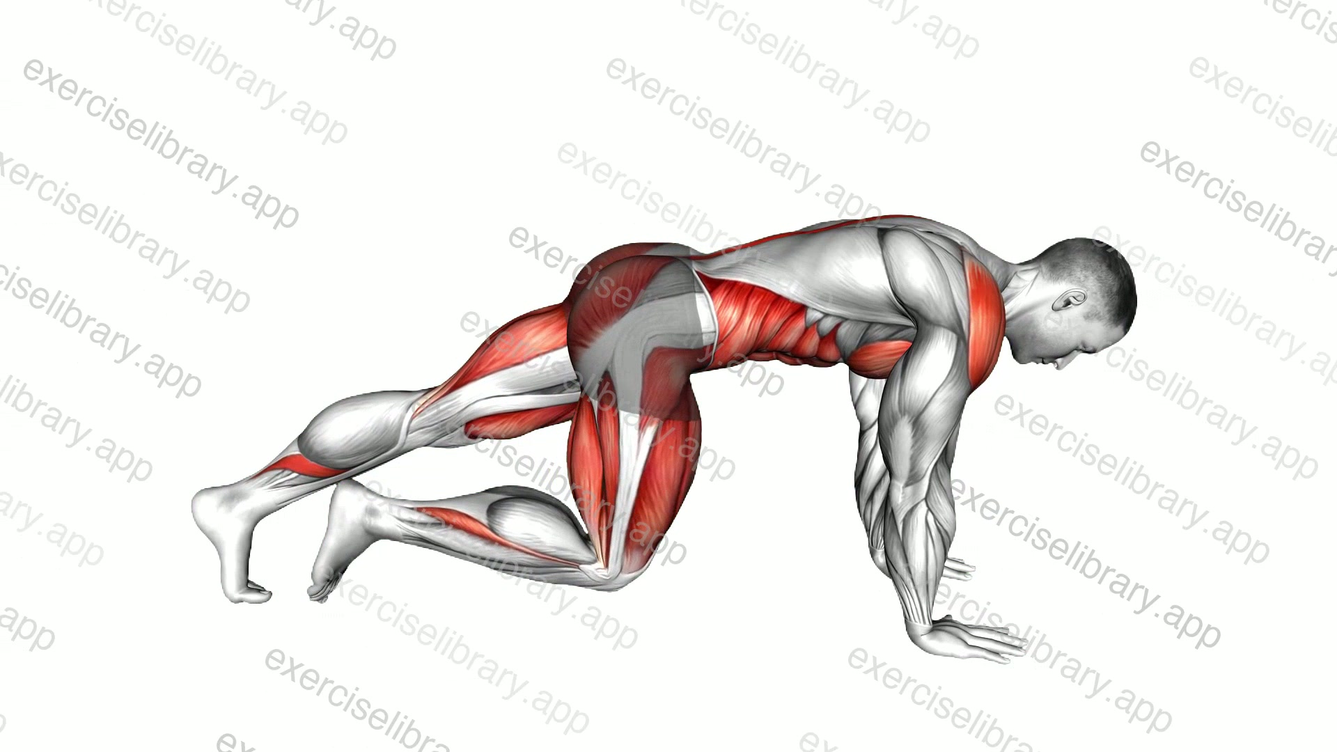 Mountain Climber Plank demonstration
