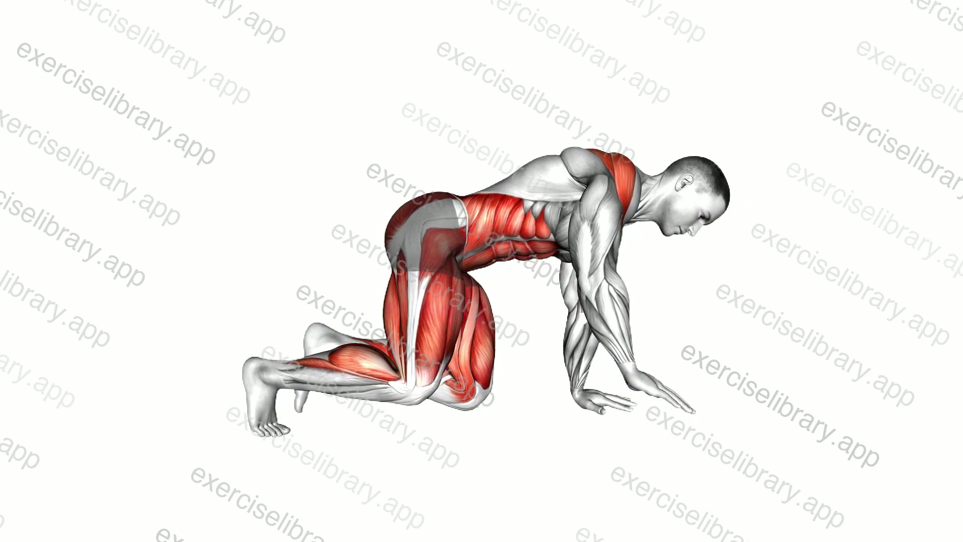 Side Kick Through demonstration