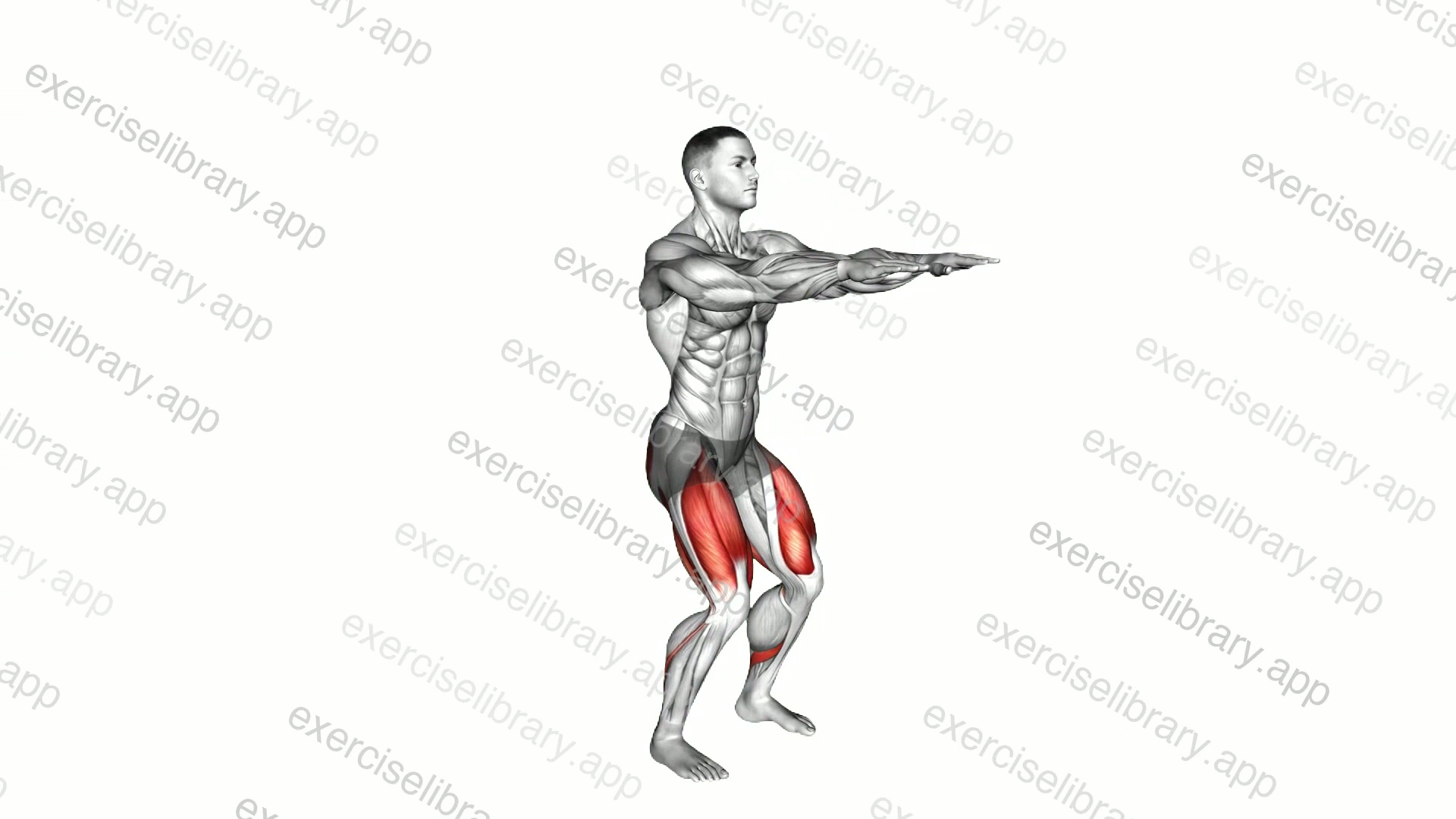Bodyweight Slow To Explosive Squats demonstration