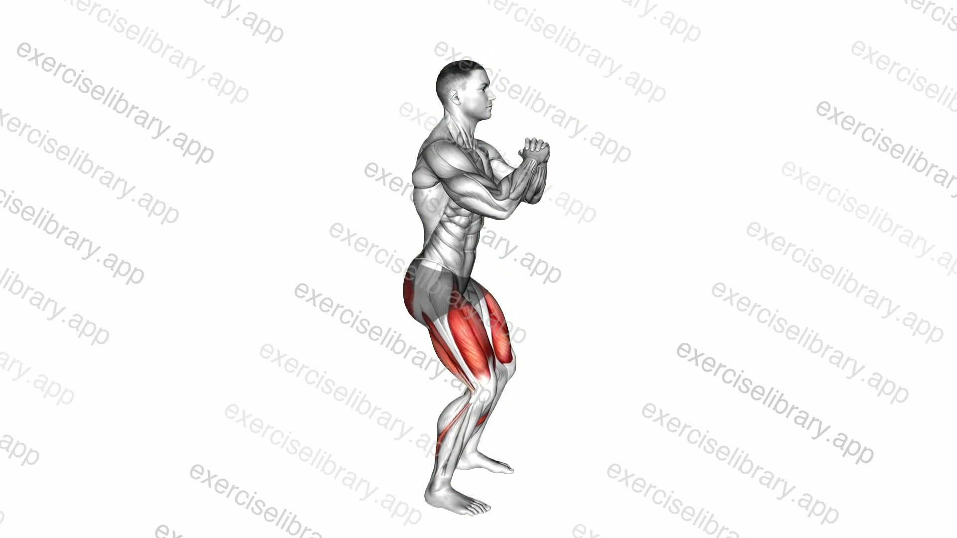 Bodyweight Pulse Squat demonstration