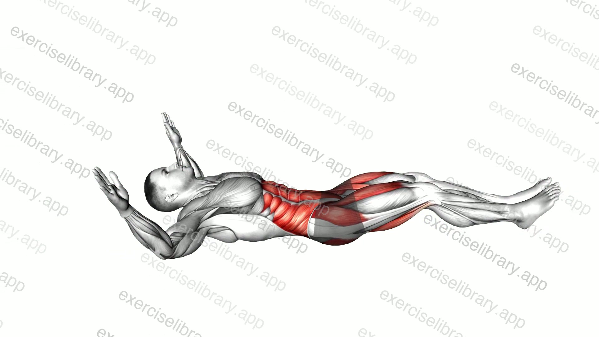 Lying Tuck-up demonstration
