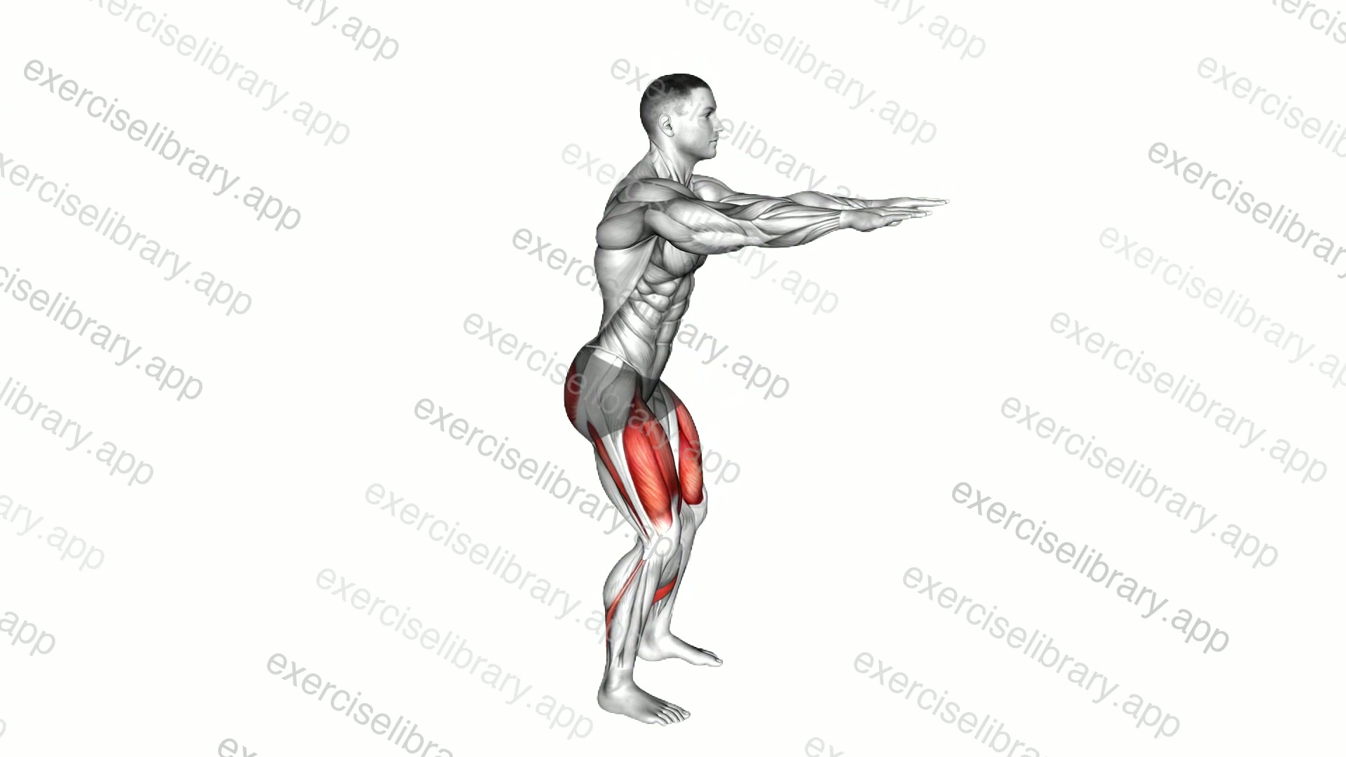 Hip Squat demonstration