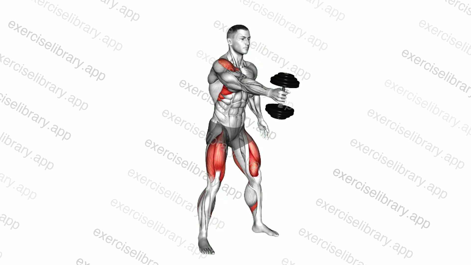Dumbbell One Arm Swing demonstration