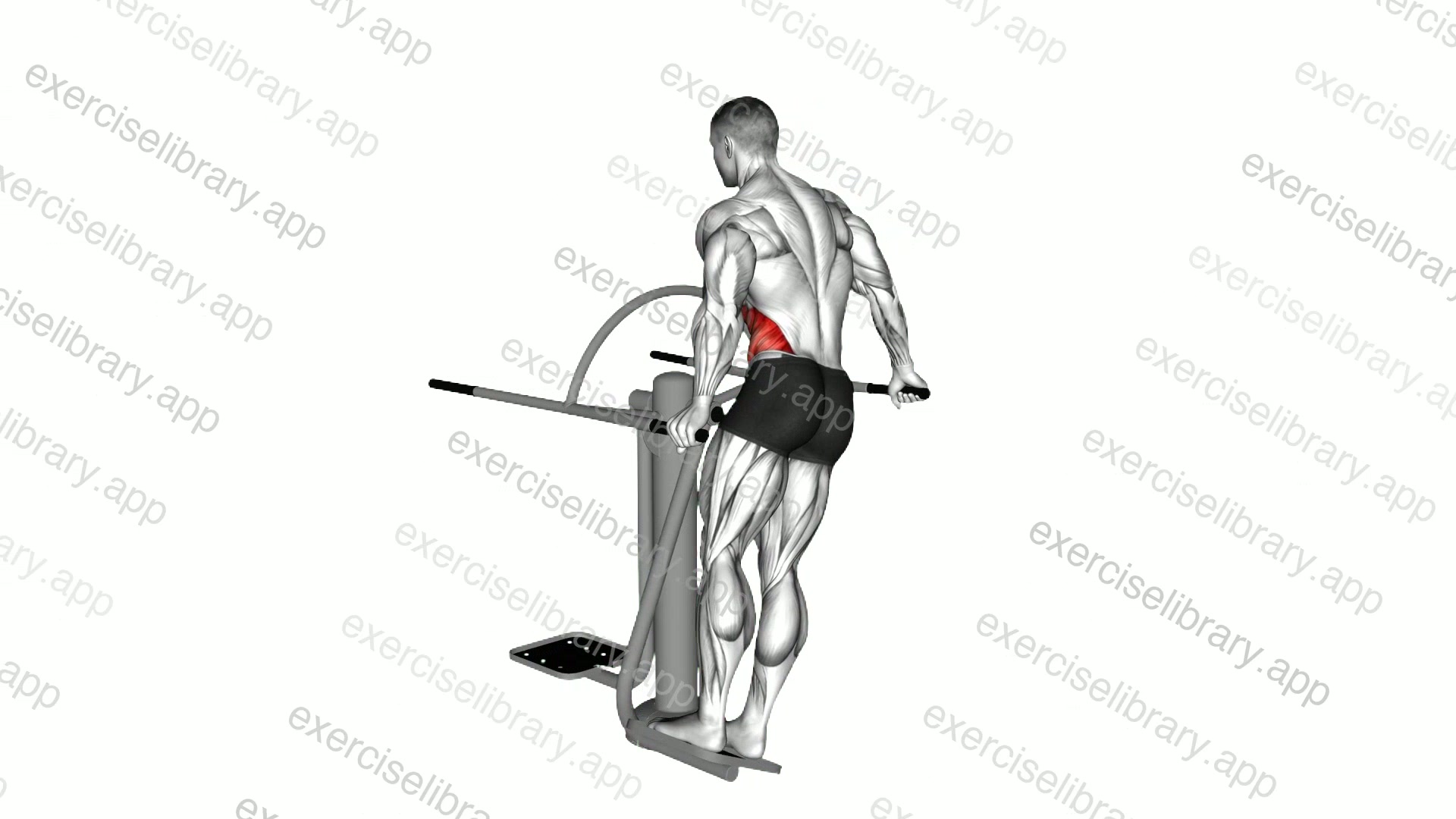 Lever Outdoor Side Surf demonstration