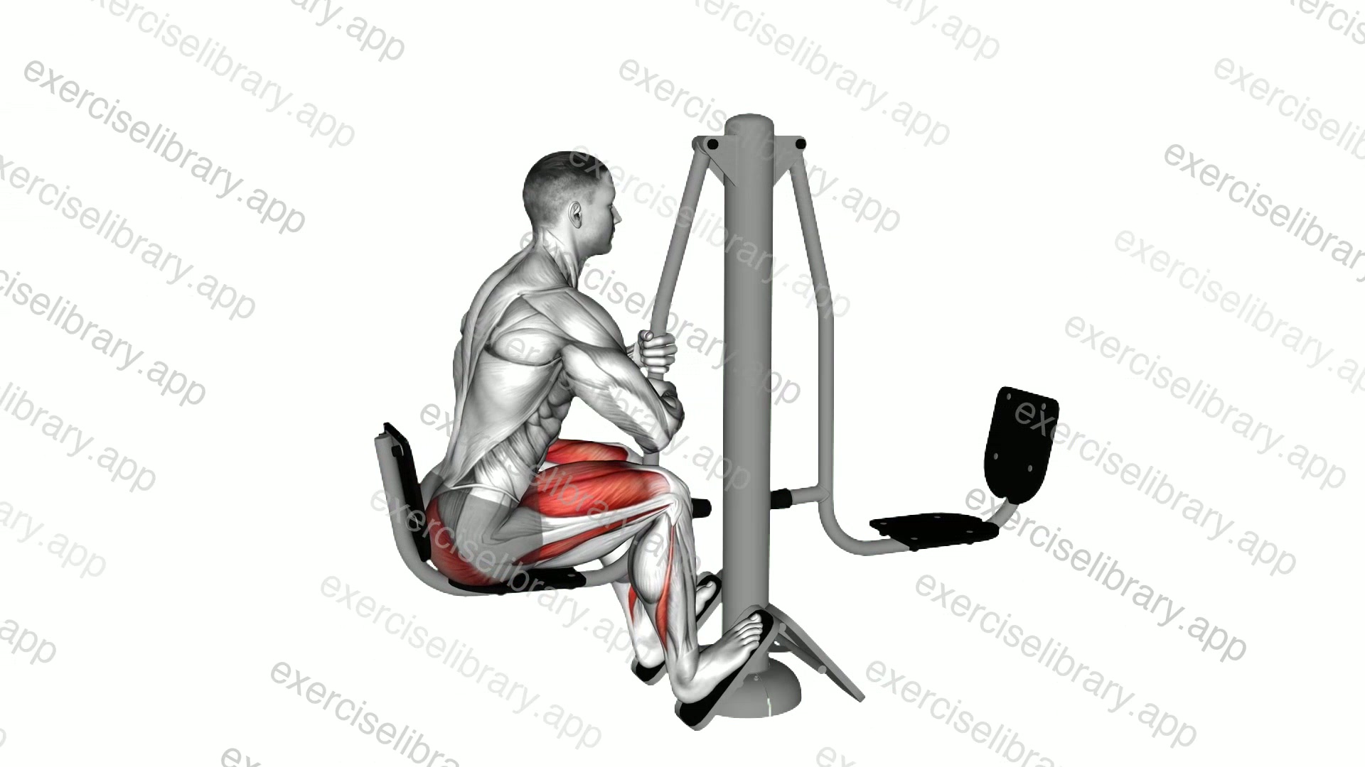 Lever Outdoor Seated Leg Press demonstration