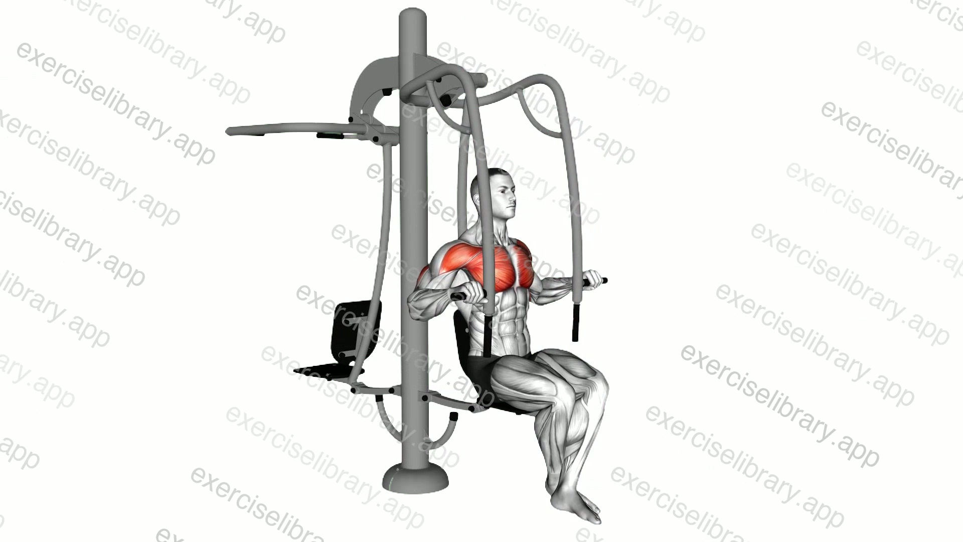 Lever Outdoor Seated Chest Press demonstration