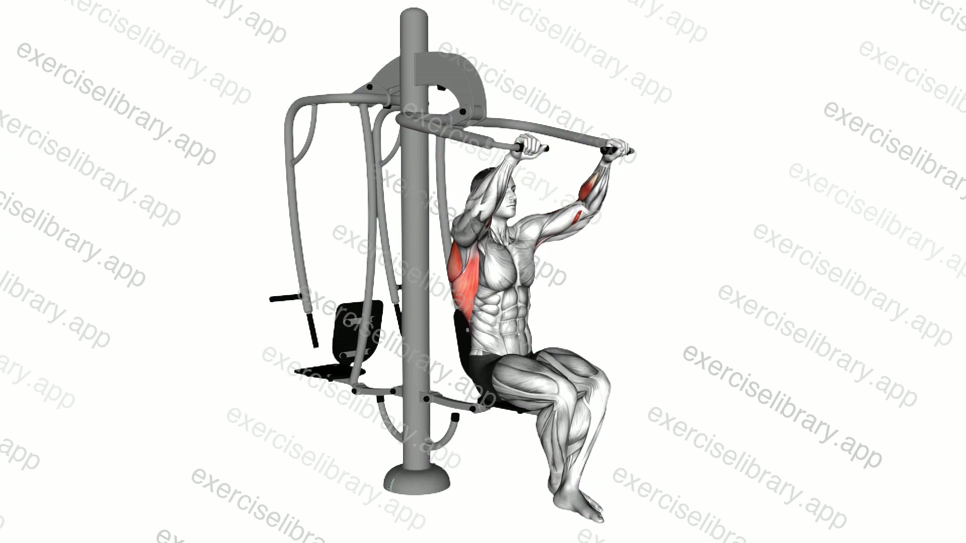 Lever Outdoor Seated Lat Pulldown demonstration