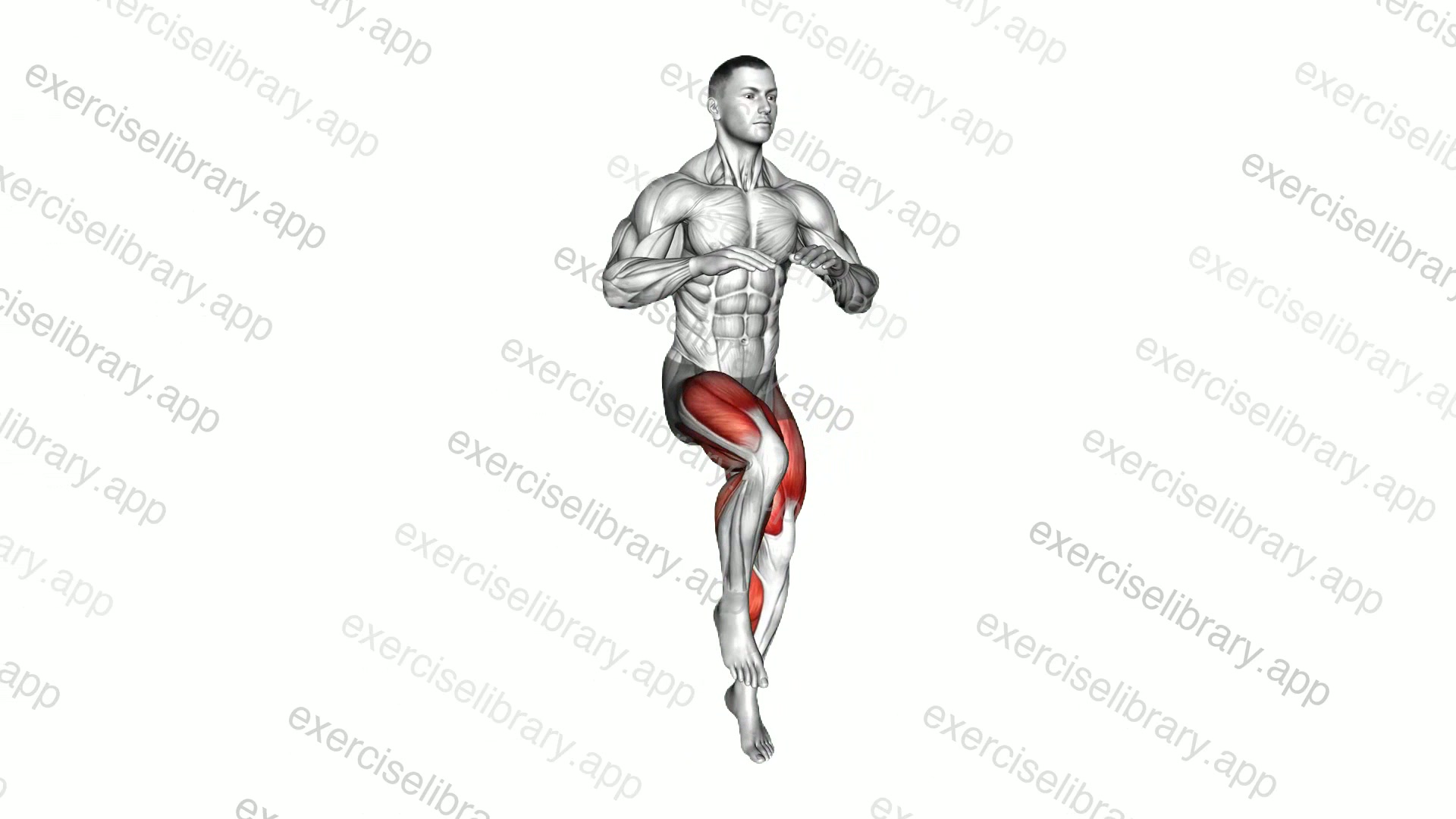 High Knee Run demonstration