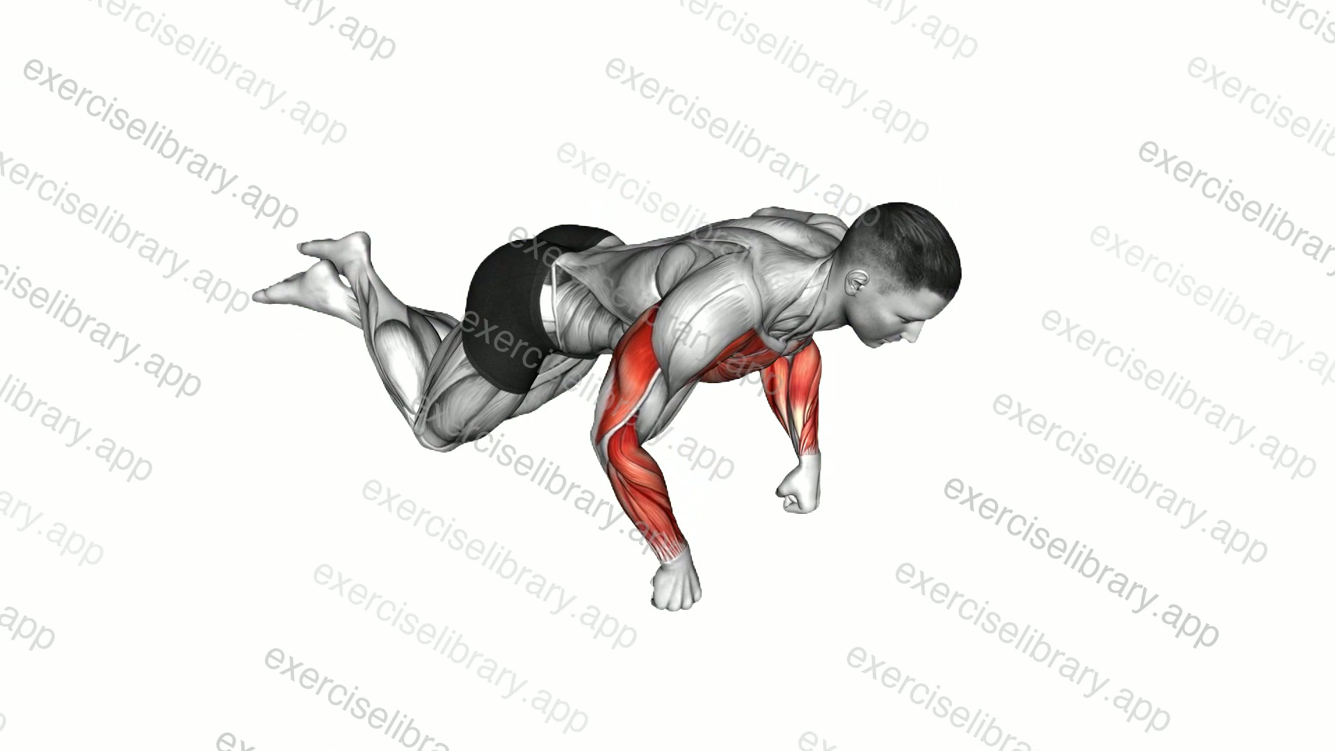 Kneeling Fist Push-up demonstration
