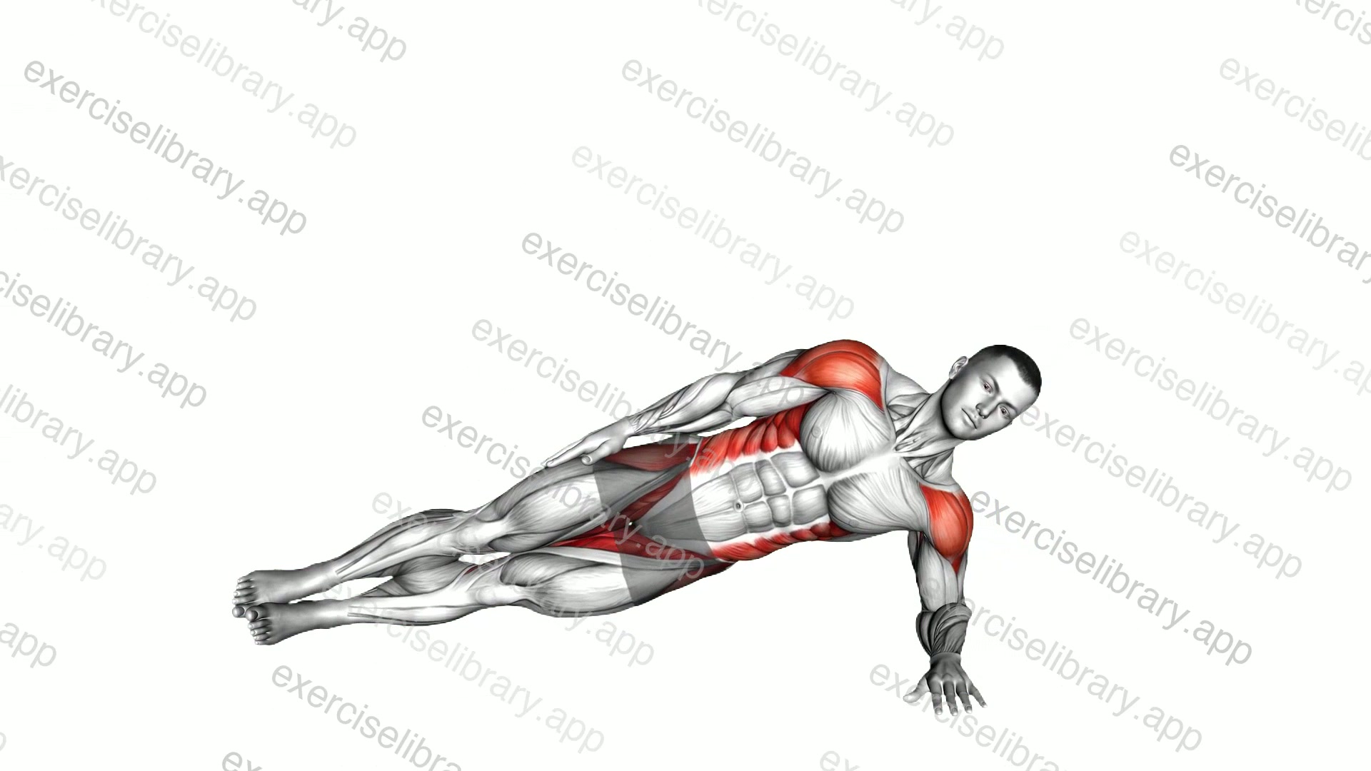 Side Plank Plus demonstration