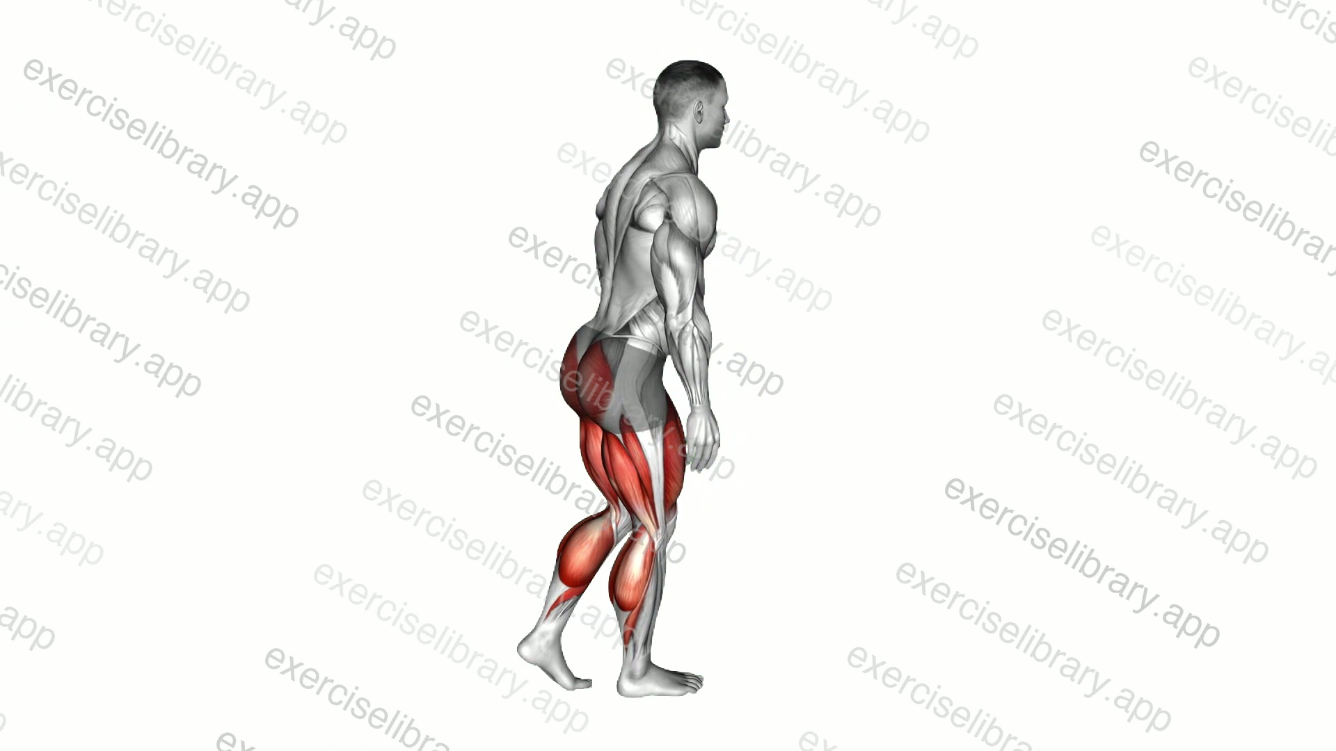 Hip Lunge demonstration