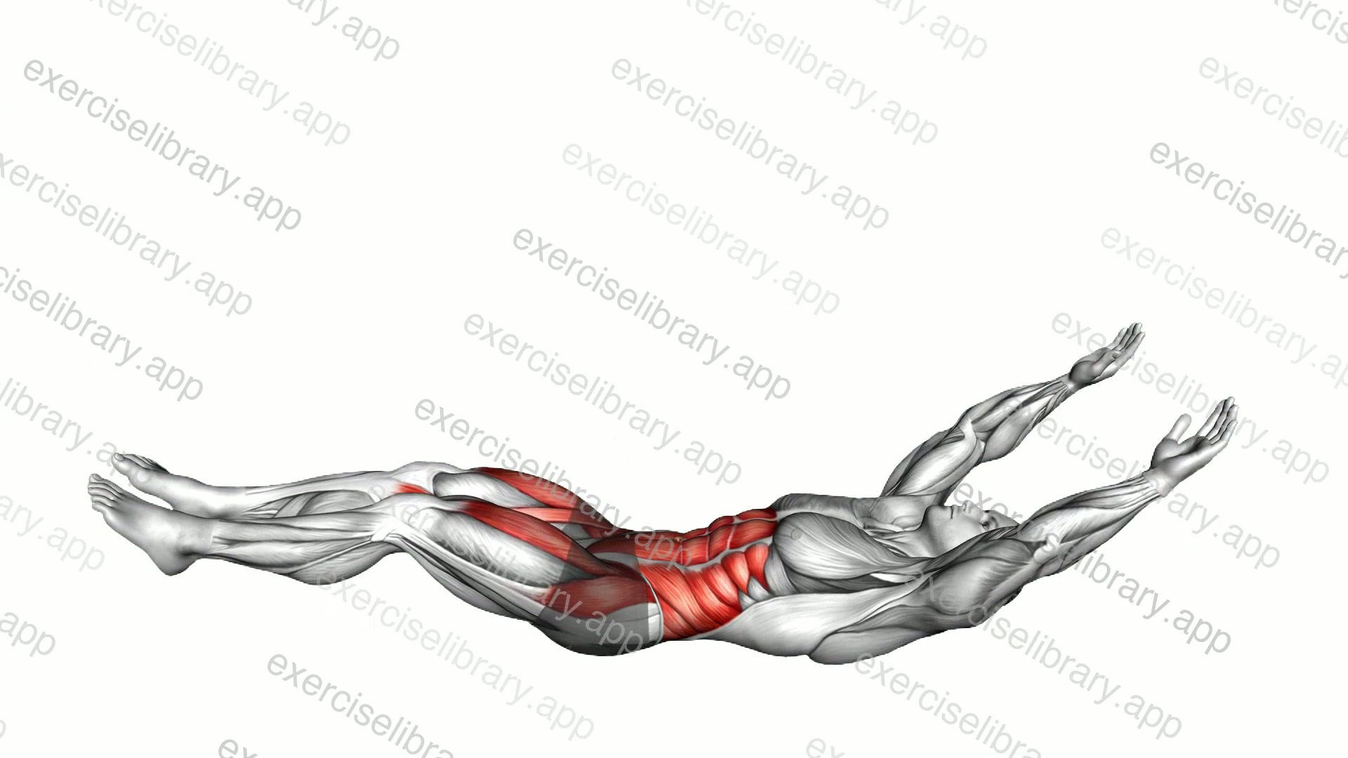 Lying Tuck-up Knee Tap demonstration