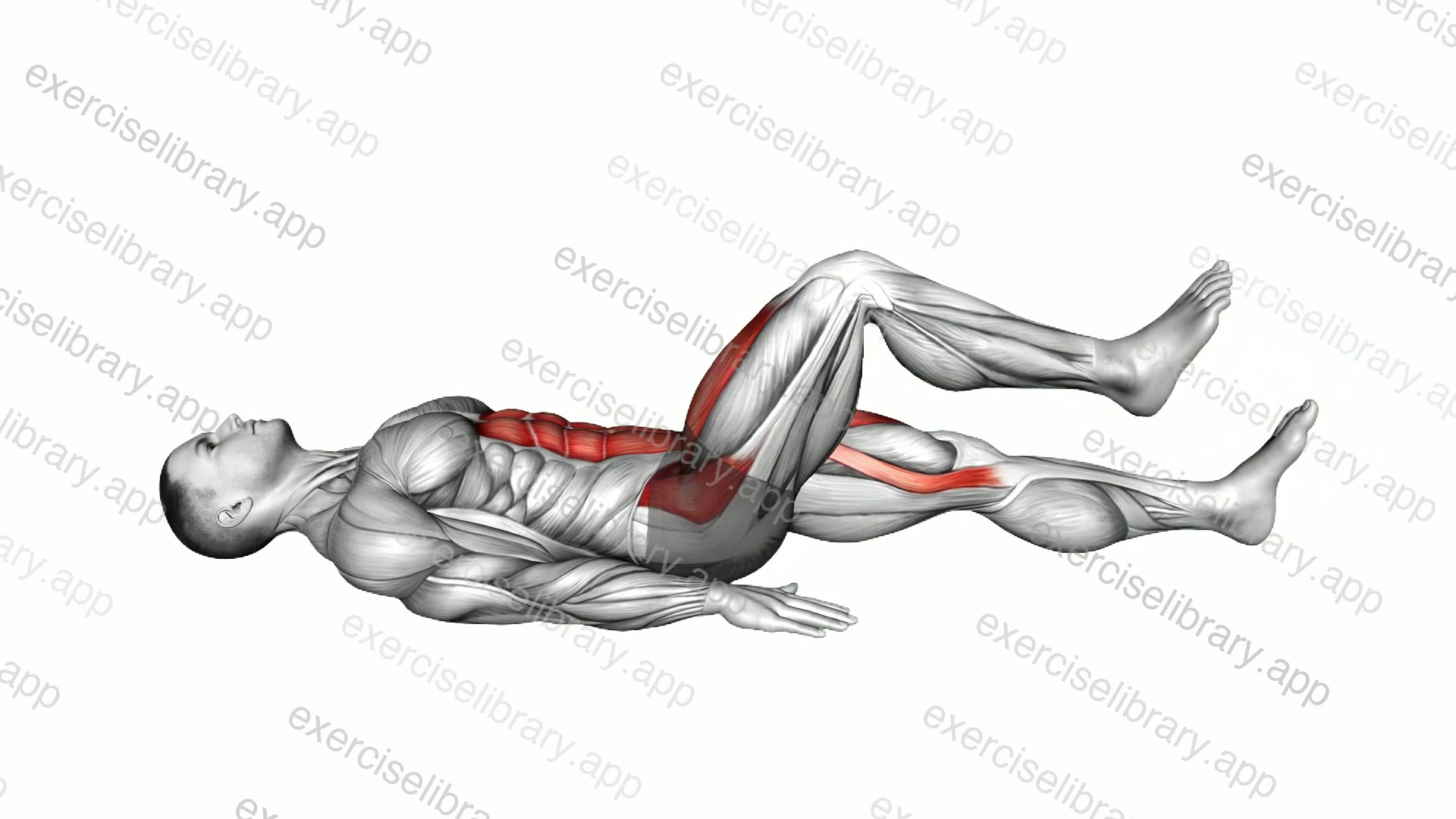 Lying Alternate Leg Extension demonstration