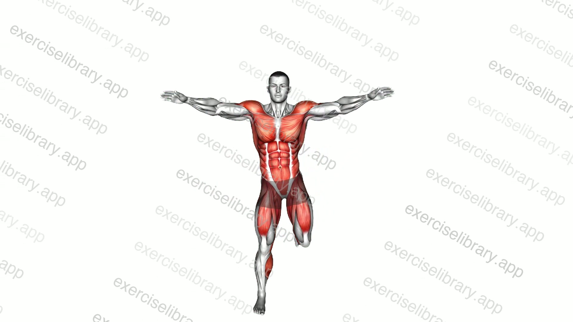 Back Leg Lift Jack demonstration