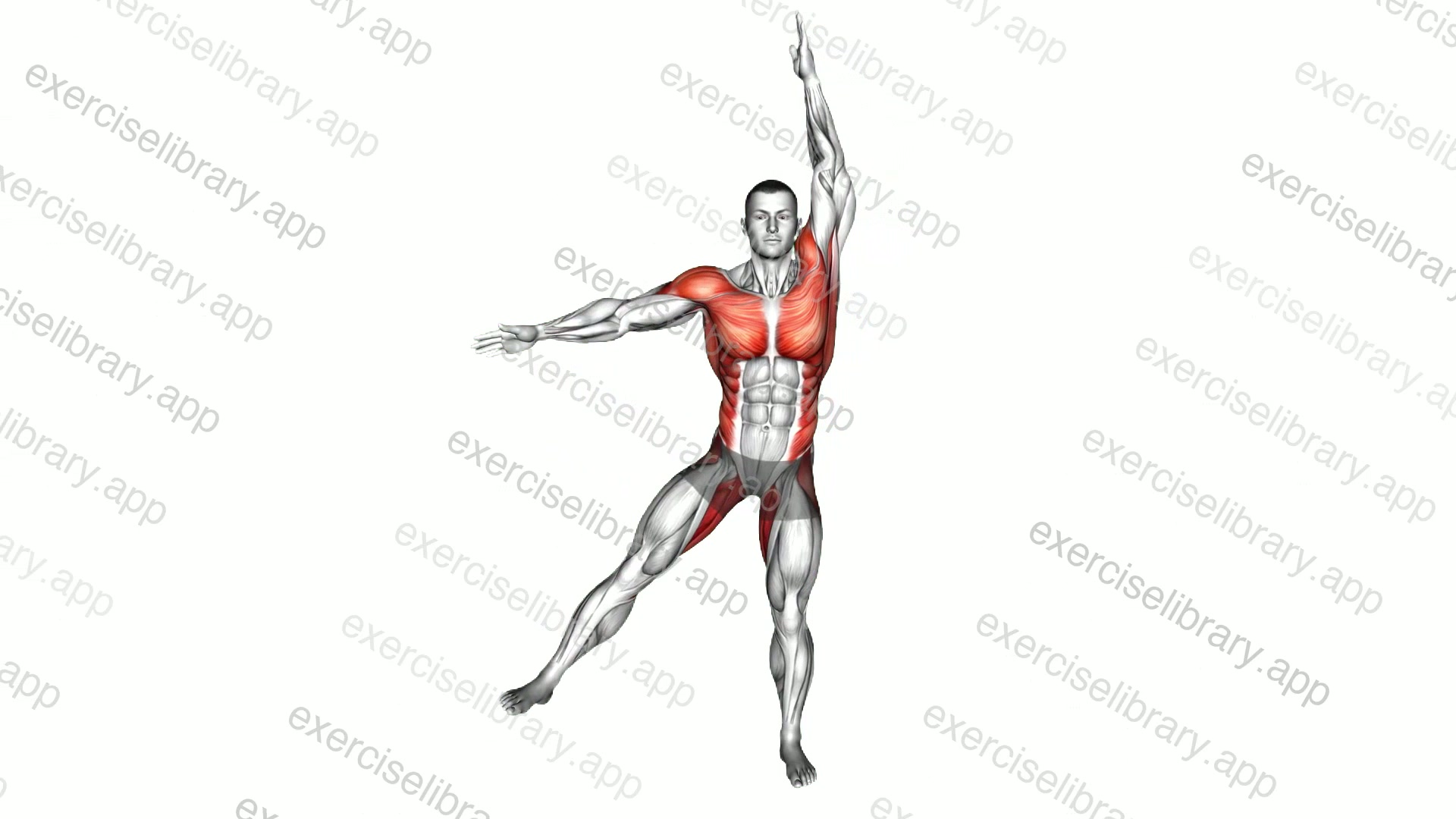 Side Leg Raise Jack demonstration