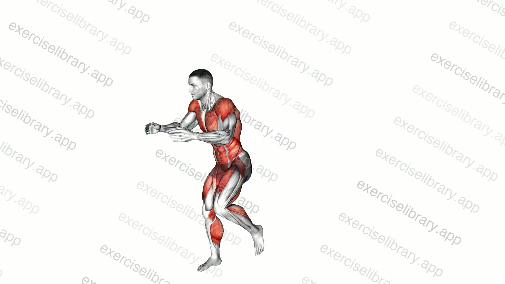 Double Knee Side Thrust demonstration