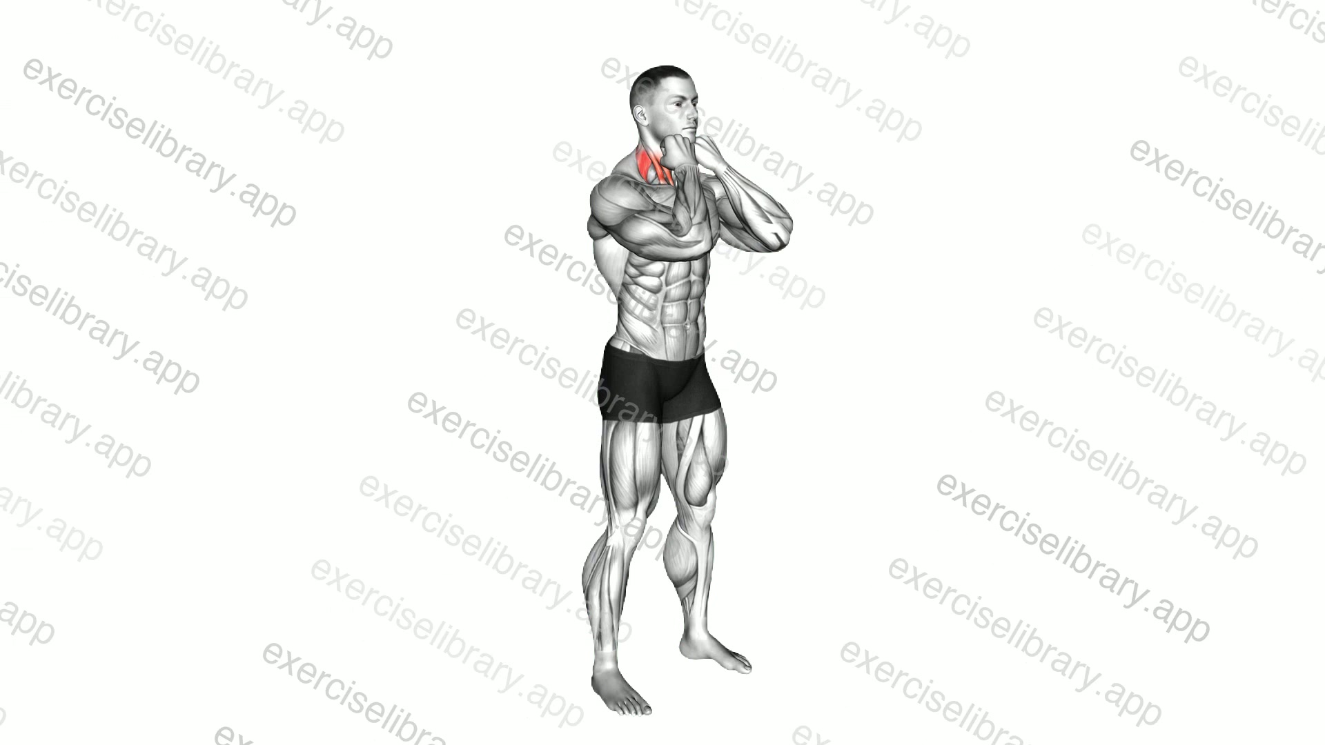 5 Sec Fist Against Chin demonstration