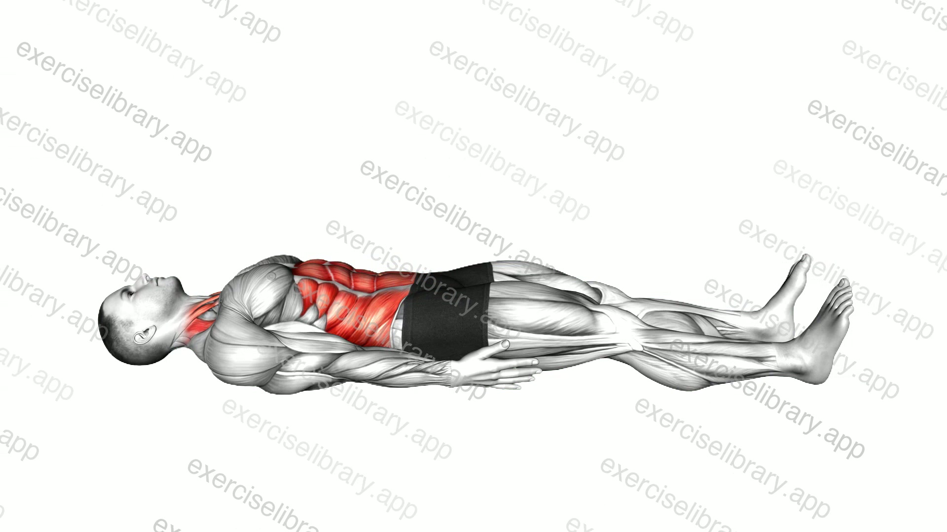 Lying Chin Tuck Raise demonstration