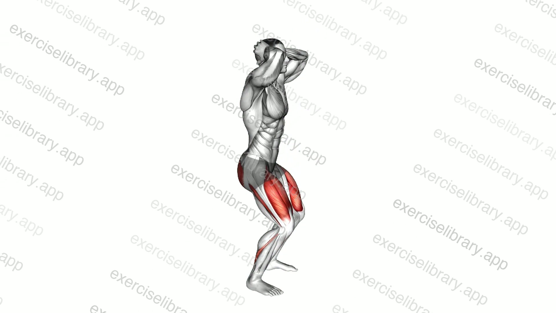 Bodyweight Deep Prisoner Squat demonstration