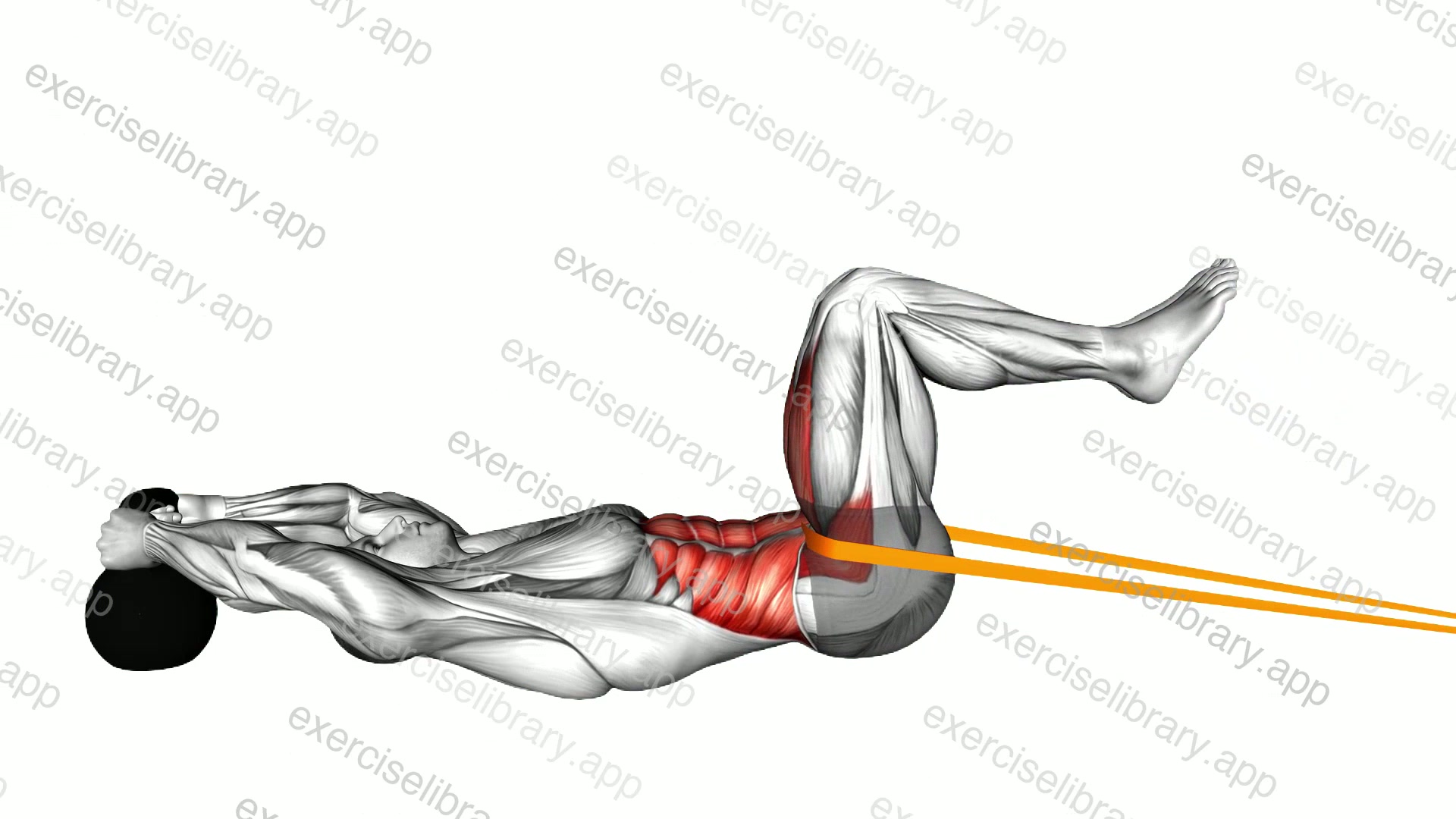 Resistance Band Reverse Crunch demonstration
