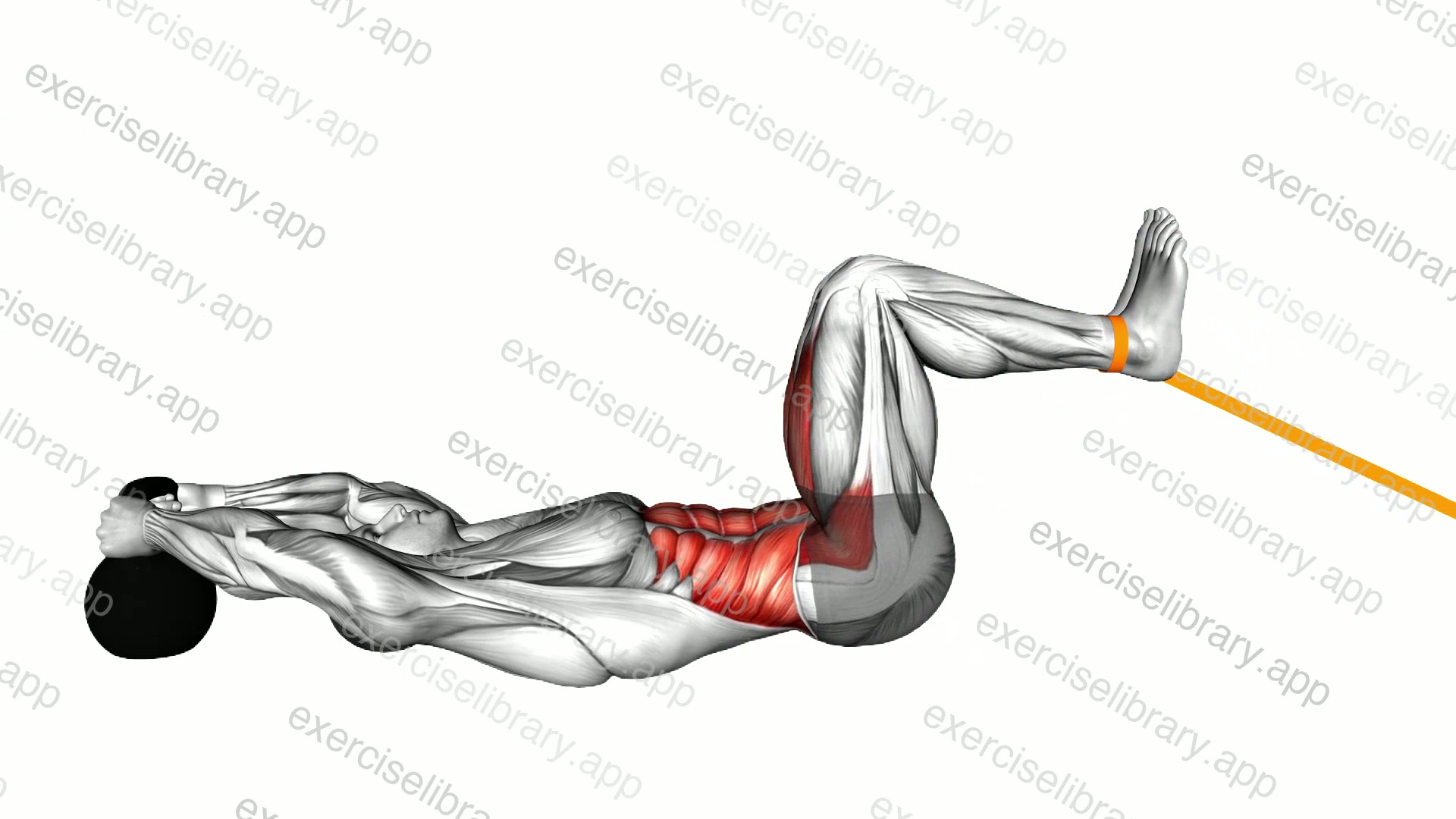 Resistance Band Reverse Crunch demonstration