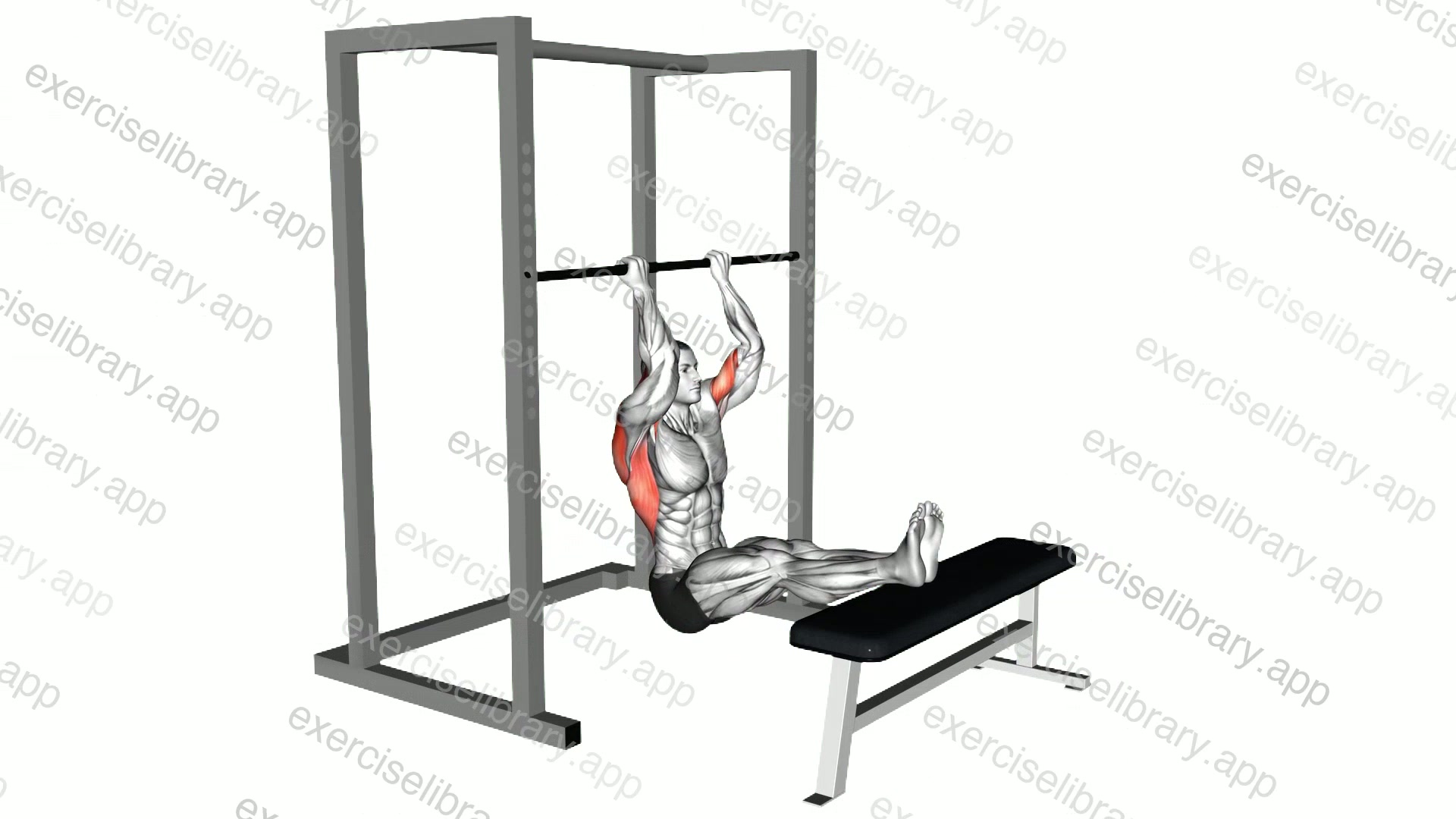 Seated Chin-up demonstration