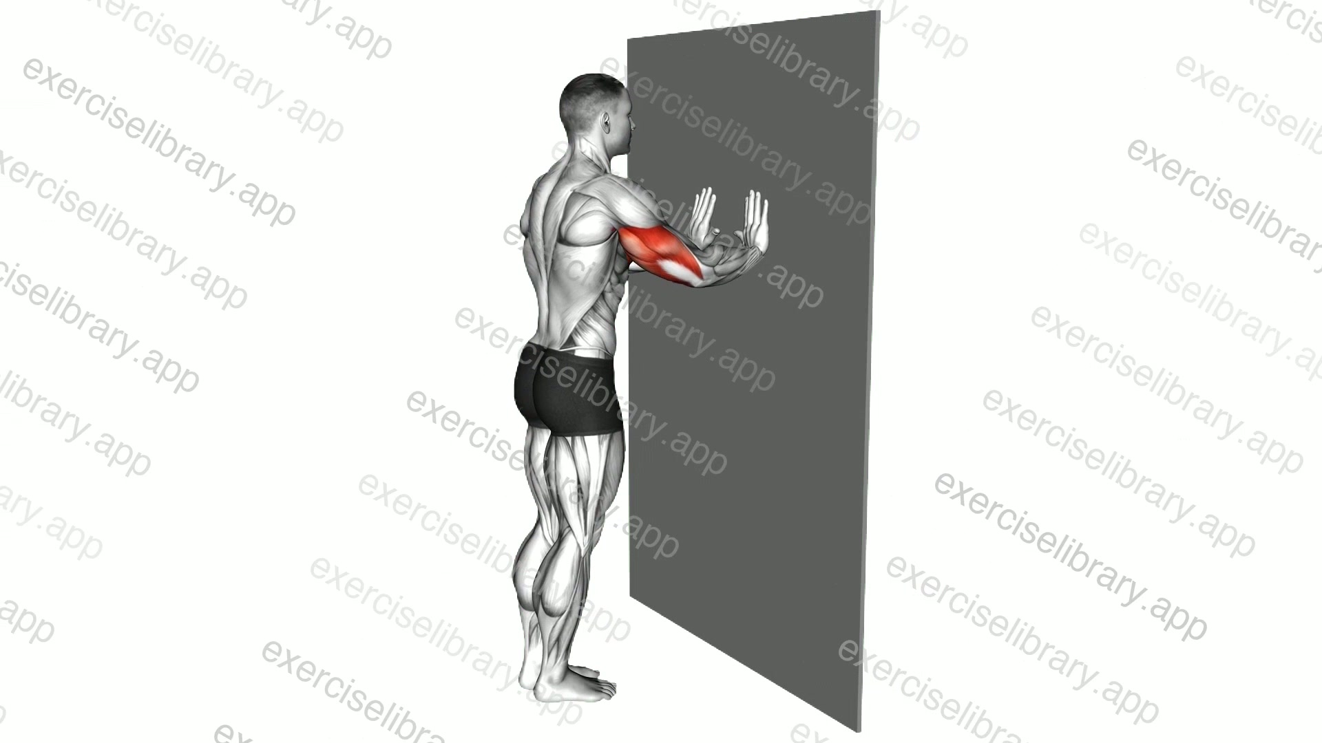 Close grip Push-up against the wall demonstration