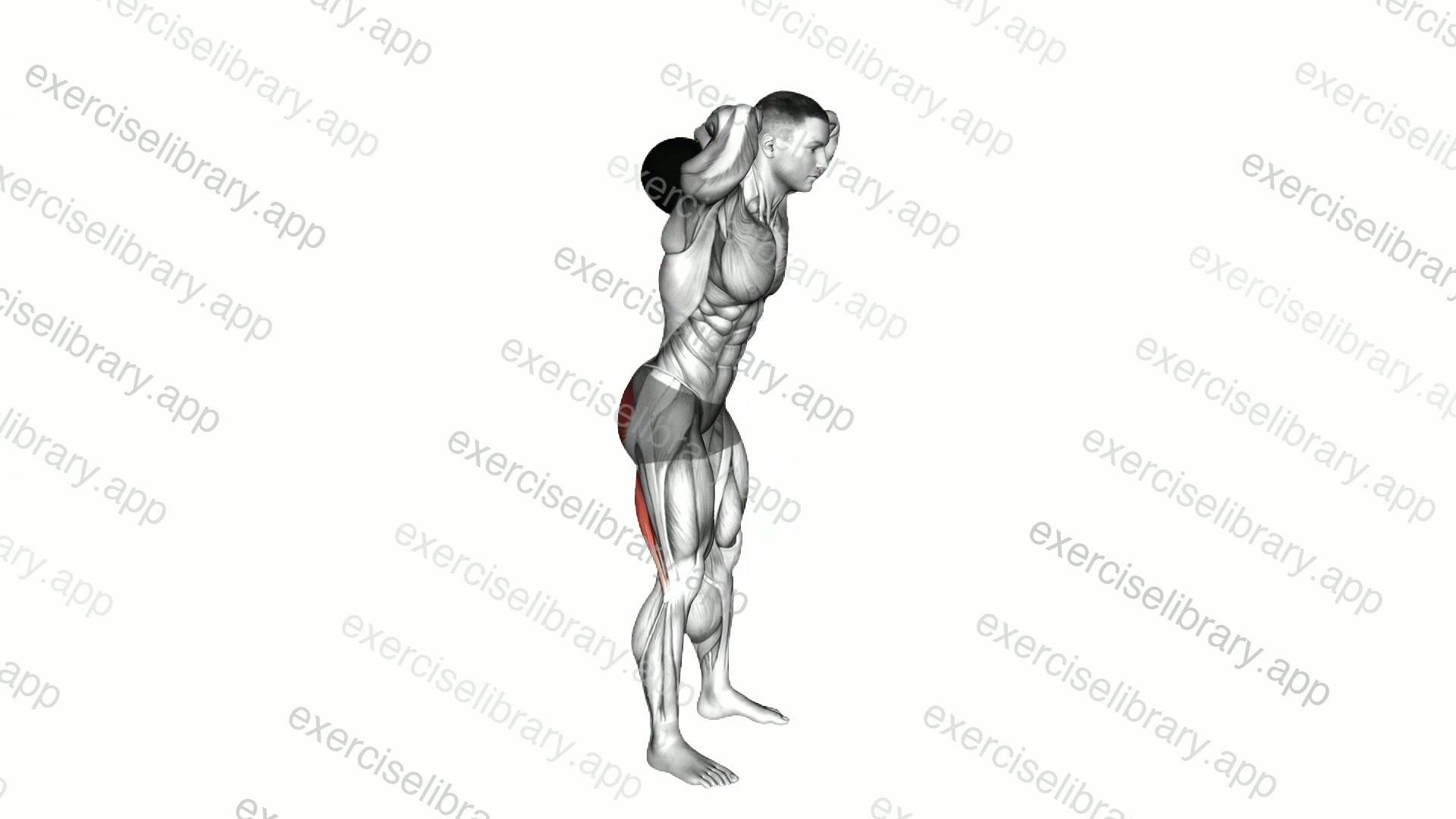 Kettlebell Good Morning demonstration