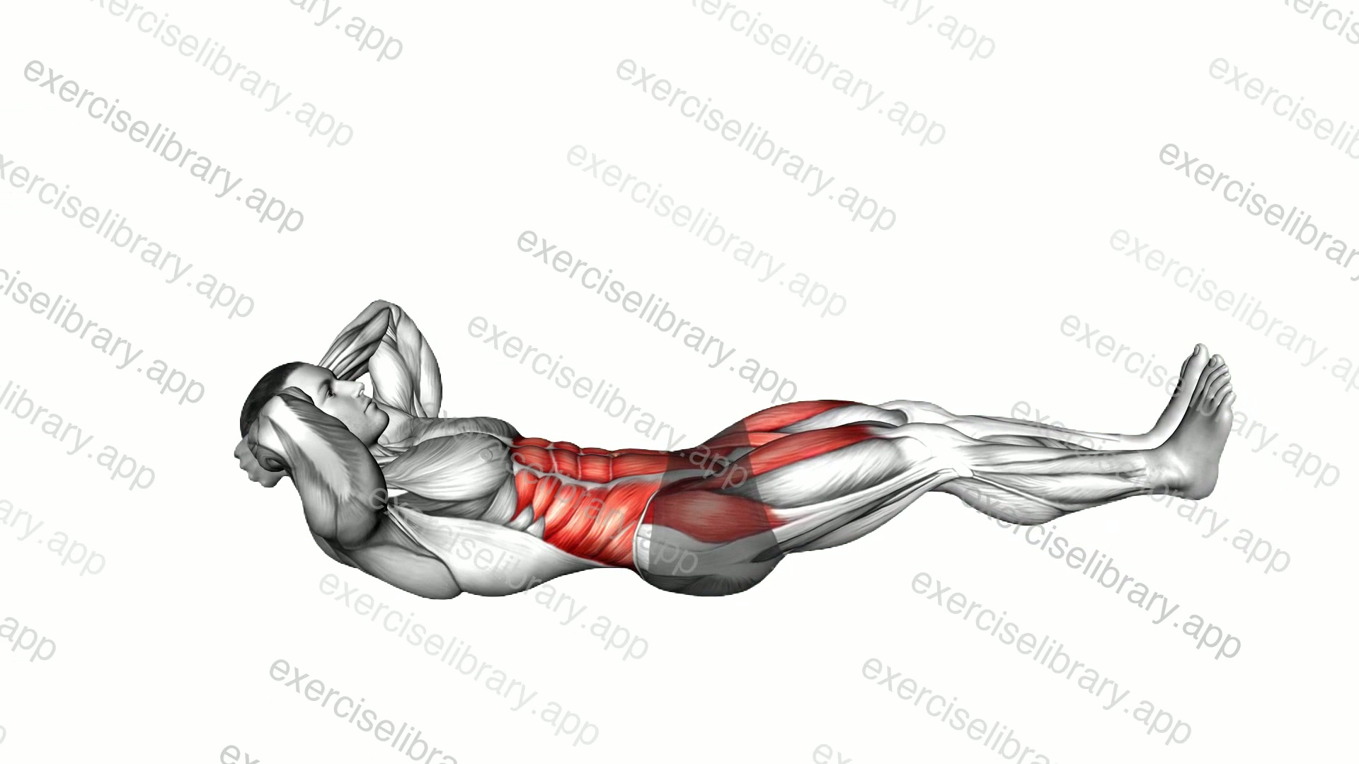 Lying Knee Tuck demonstration