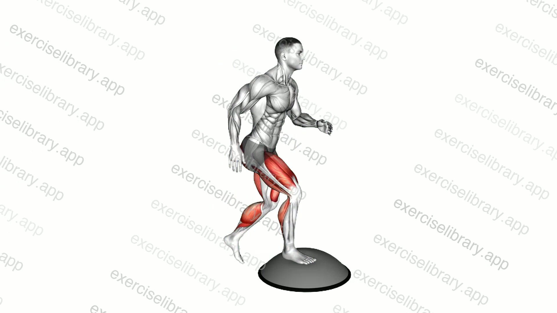 Bosu Ball Step-up High Knee demonstration