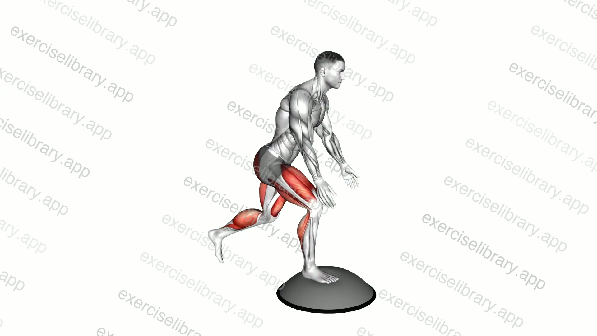 Bosu Ball Step-up Single Leg Deadlift demonstration