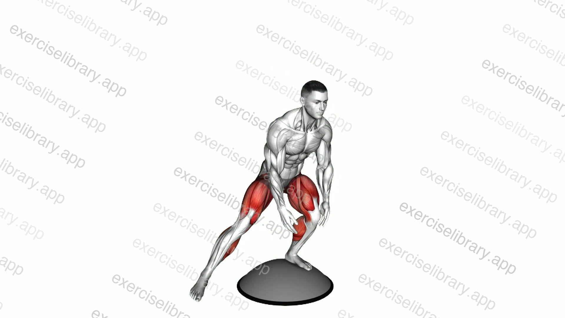 Bosu Ball Alternate Heel Touch Side Kick Squat demonstration