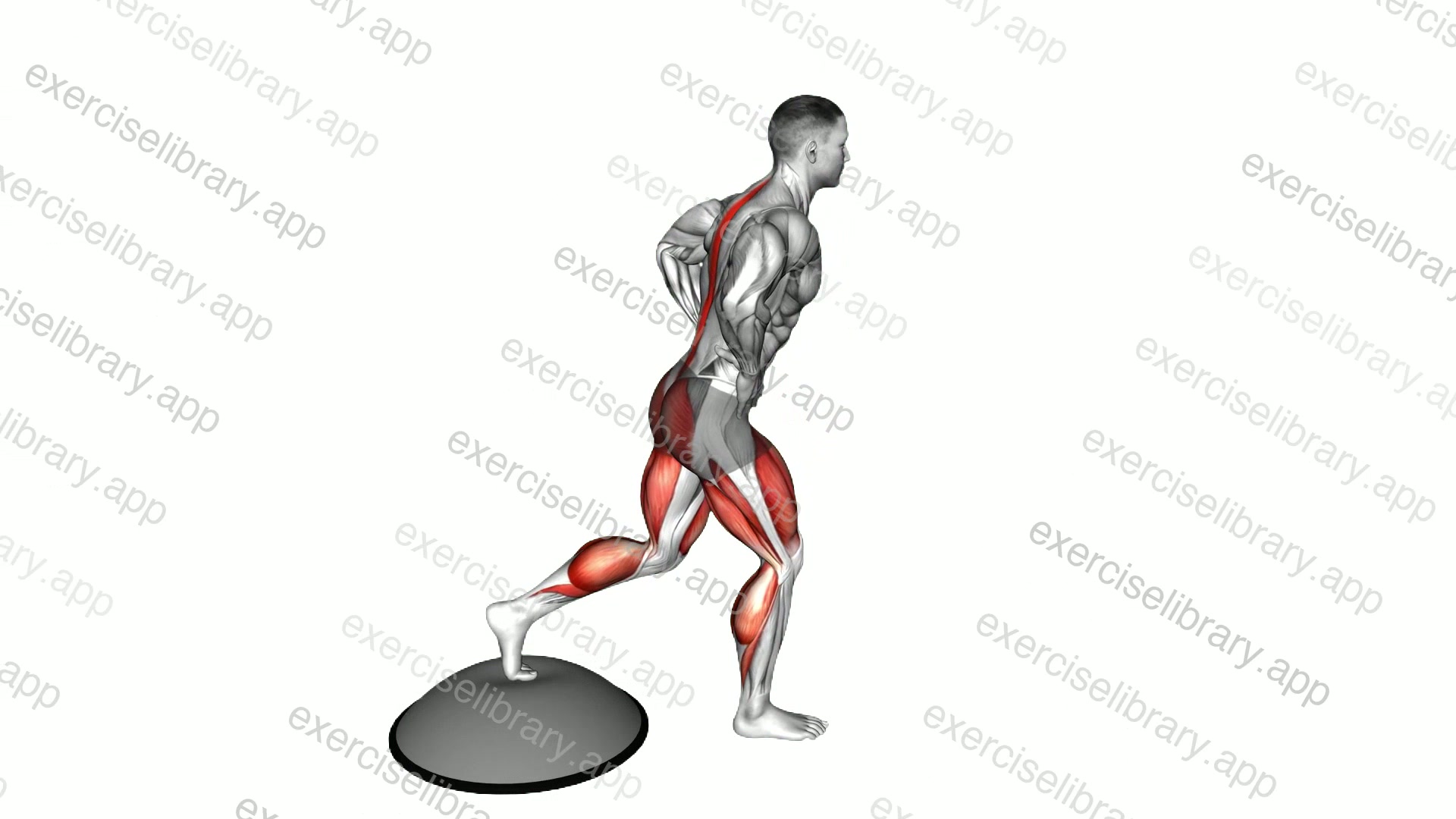 Bosu Ball Single Leg Good Morning demonstration