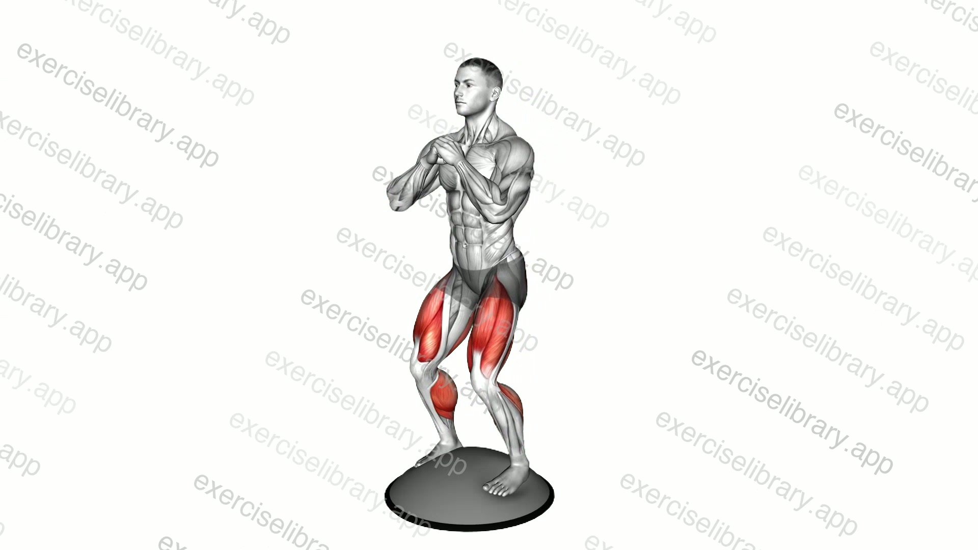 Bosu Ball Goblet Squat demonstration