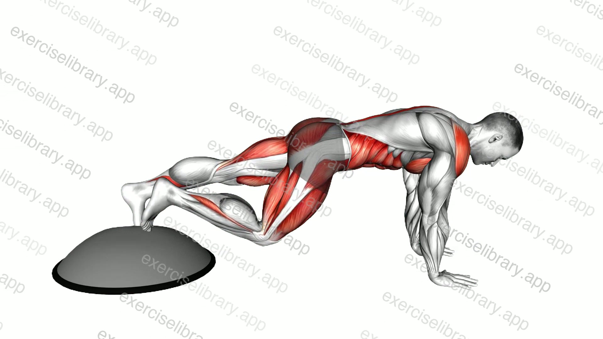 Bosu Ball Mountain Climber demonstration