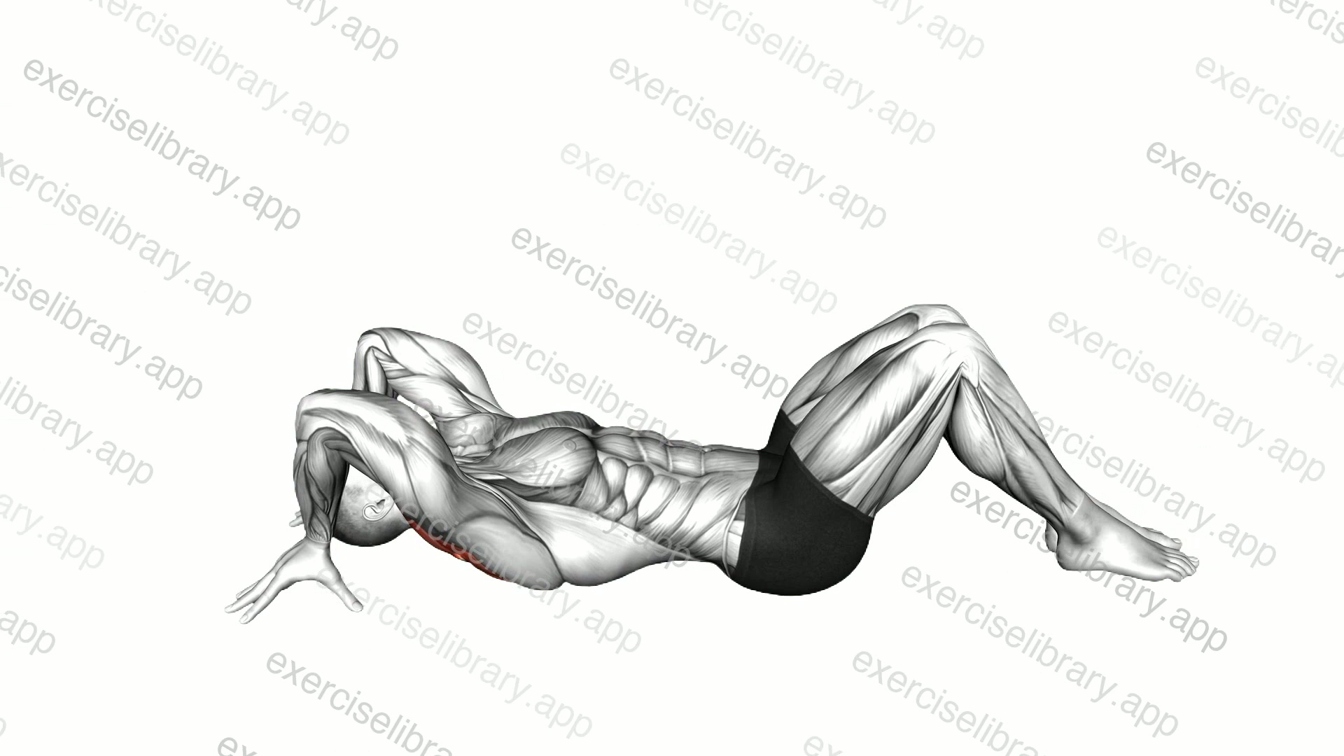 Lying Reverse Push-up demonstration