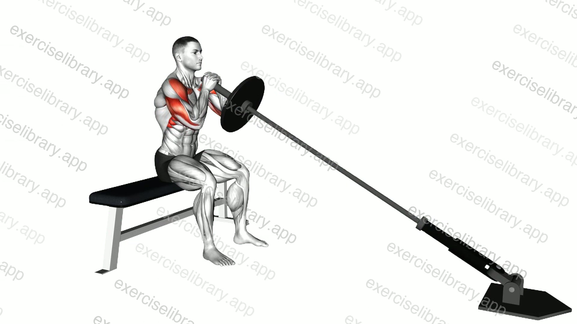 Landmine Seated Shoulder Press demonstration